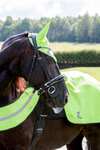 Horze Reflective Riding Blanket