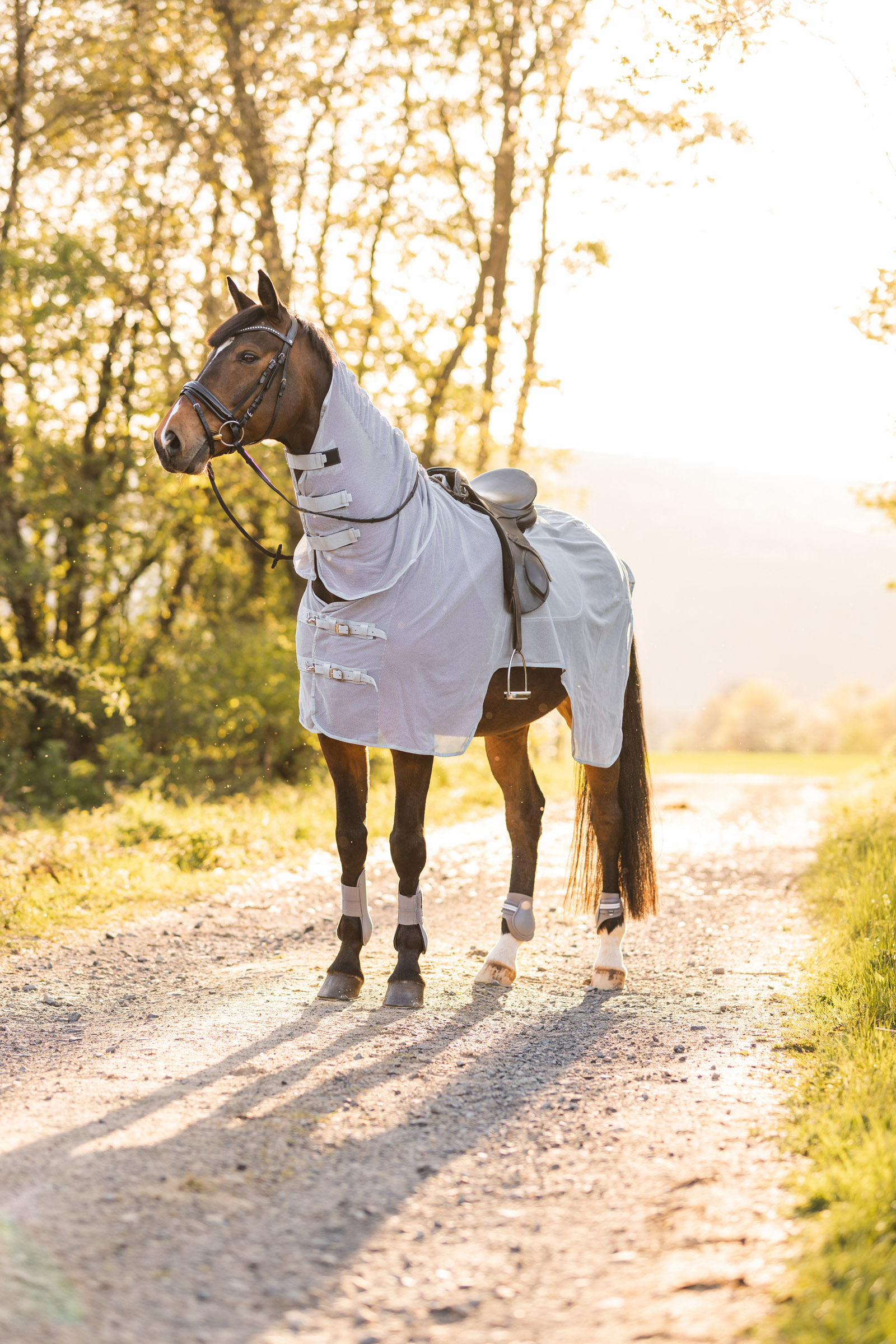 Horze Orleans Fly Riding Rug