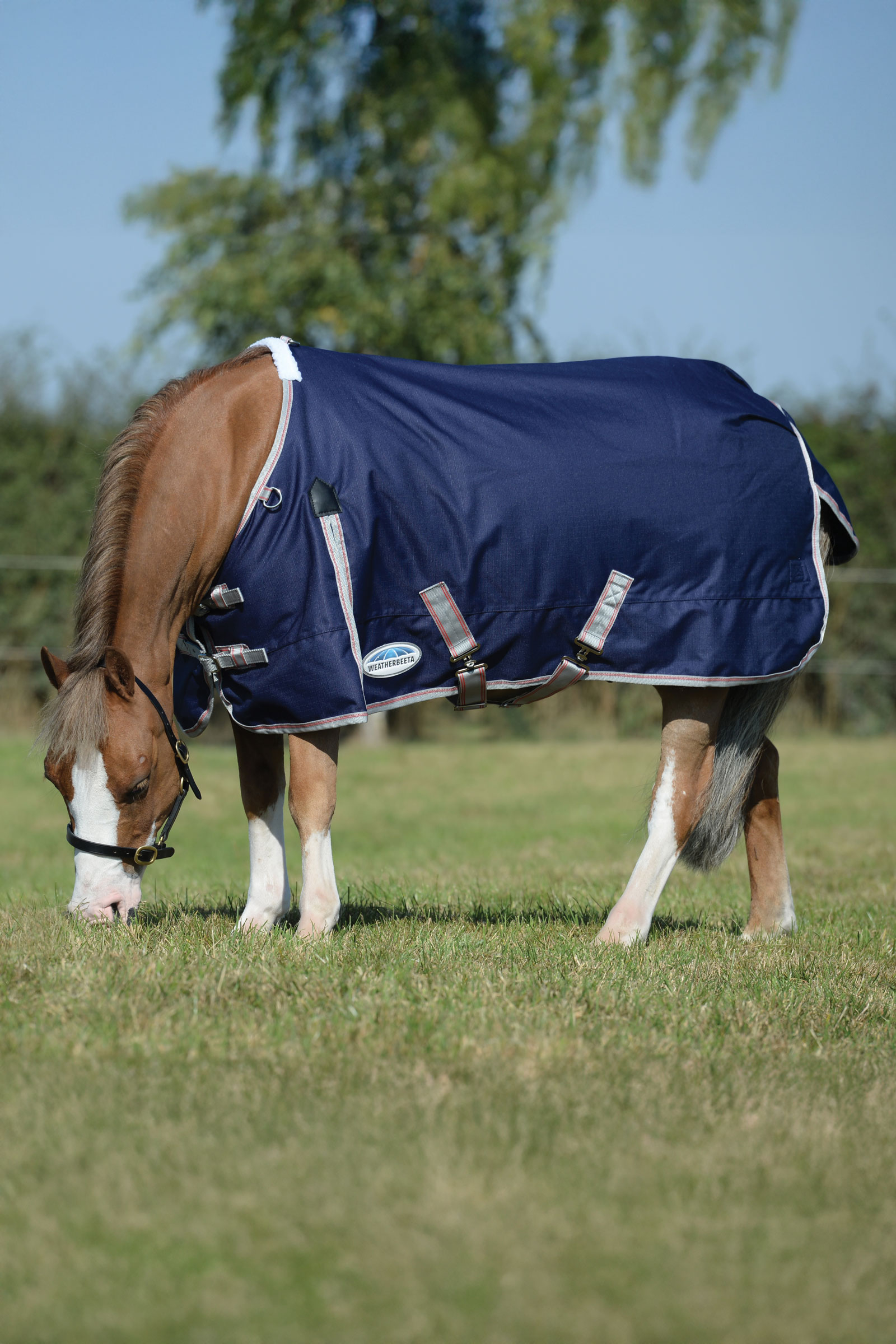 Weatherbeeta Comfitec Essential Plus Turnout Rug, 50g