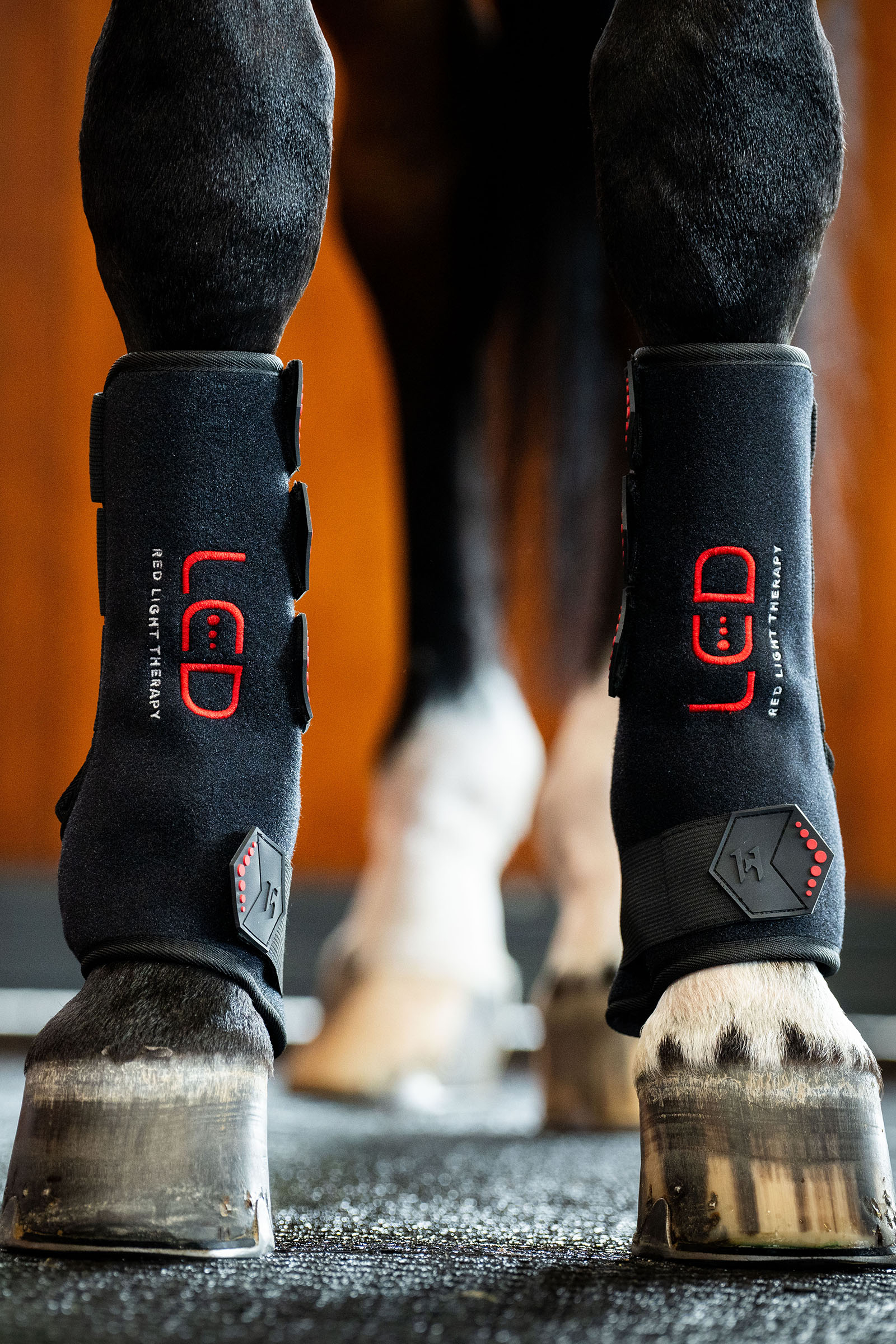 Horseware LED Red Light Therapy Leg Wrap (1 pc.)