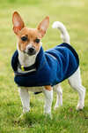 Horseware Signature Dog Fleece