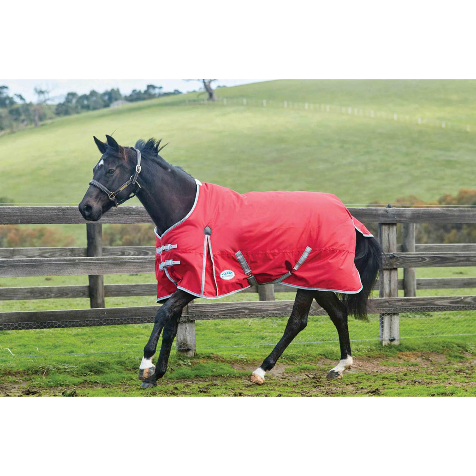 Weatherbeeta Comfitec Classic Turnout Rug, 220g