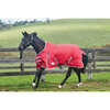 Weatherbeeta Comfitec Classic Turnout Rug, 220g