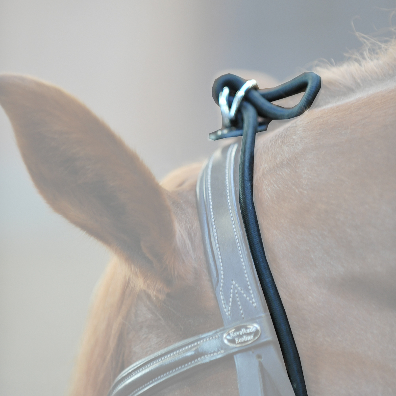 Kavalkade Bungie, elastic