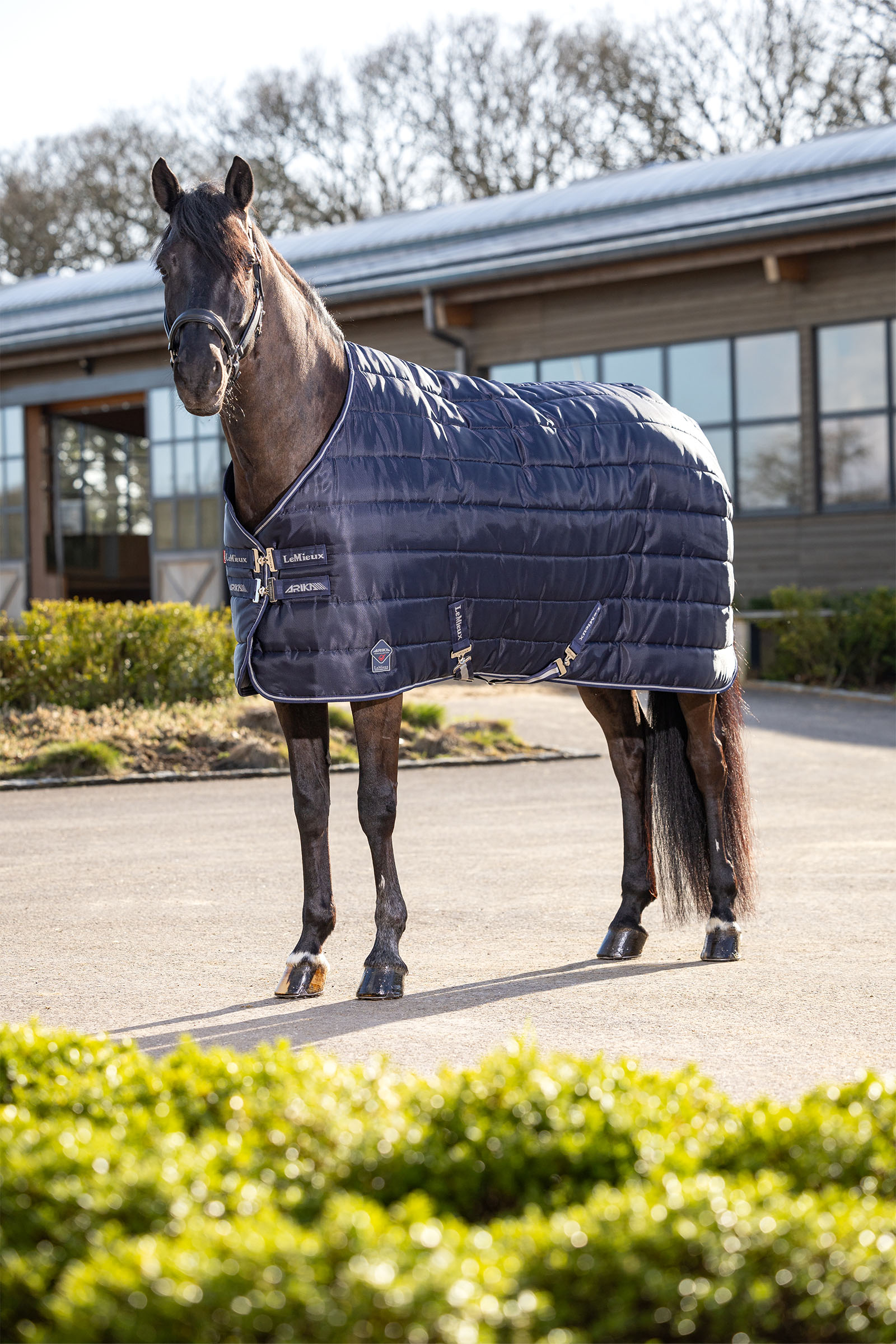 LeMieux Arika Stable-Tek Stable Rug, 100 g