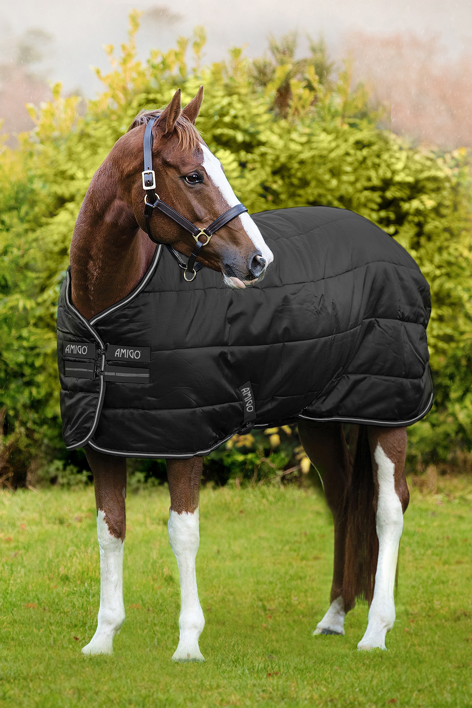 Black/Black & Silver Horseware Amigo Ripstop Insulator Stable Rug, 100 g