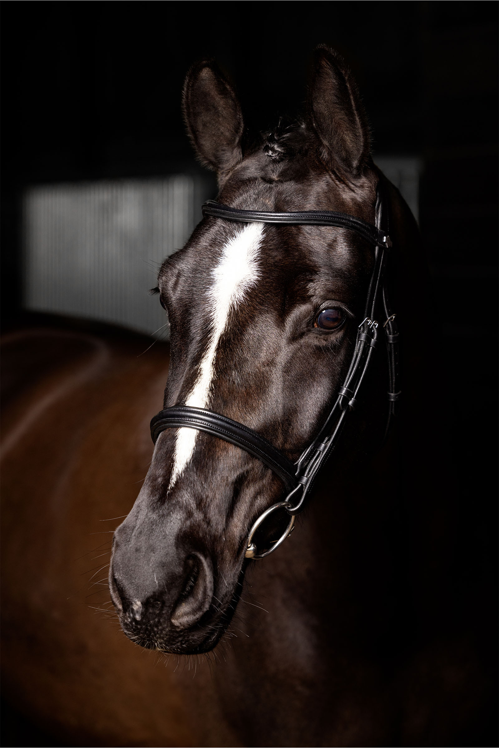 LeMieux Arika Cavesson Bridle