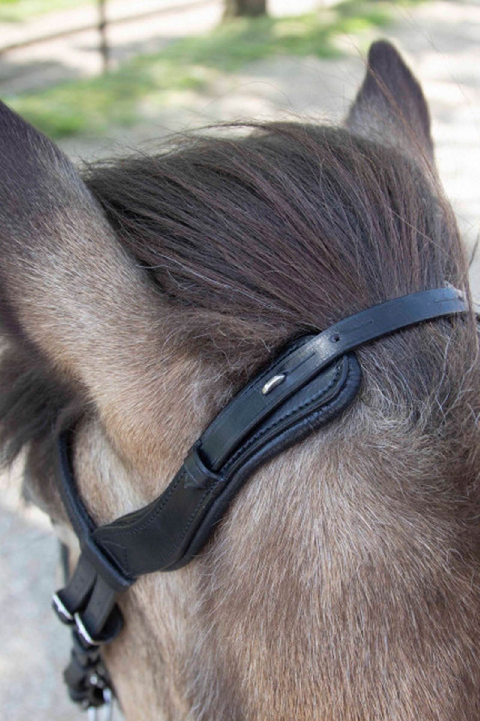 Waldhausen Anatomical Icelandic Bridle