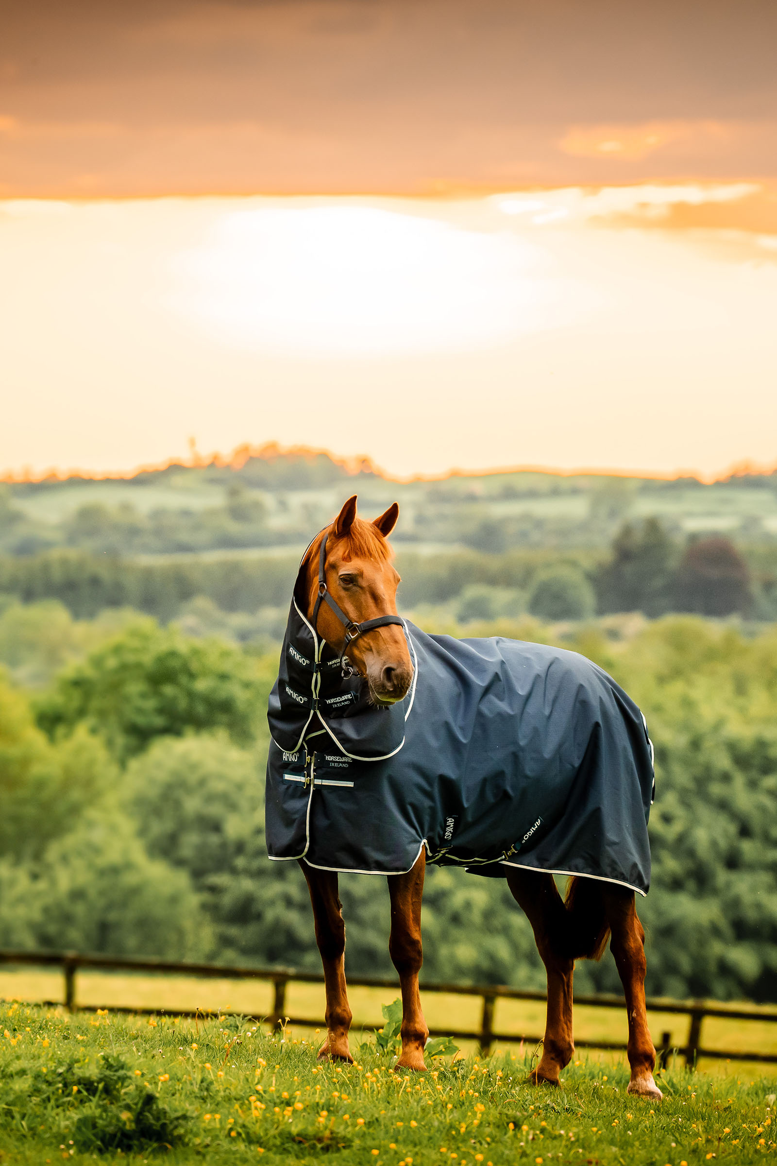 Horseware Amigo Ripstop 900D Plus Turnout Rug, 100 g