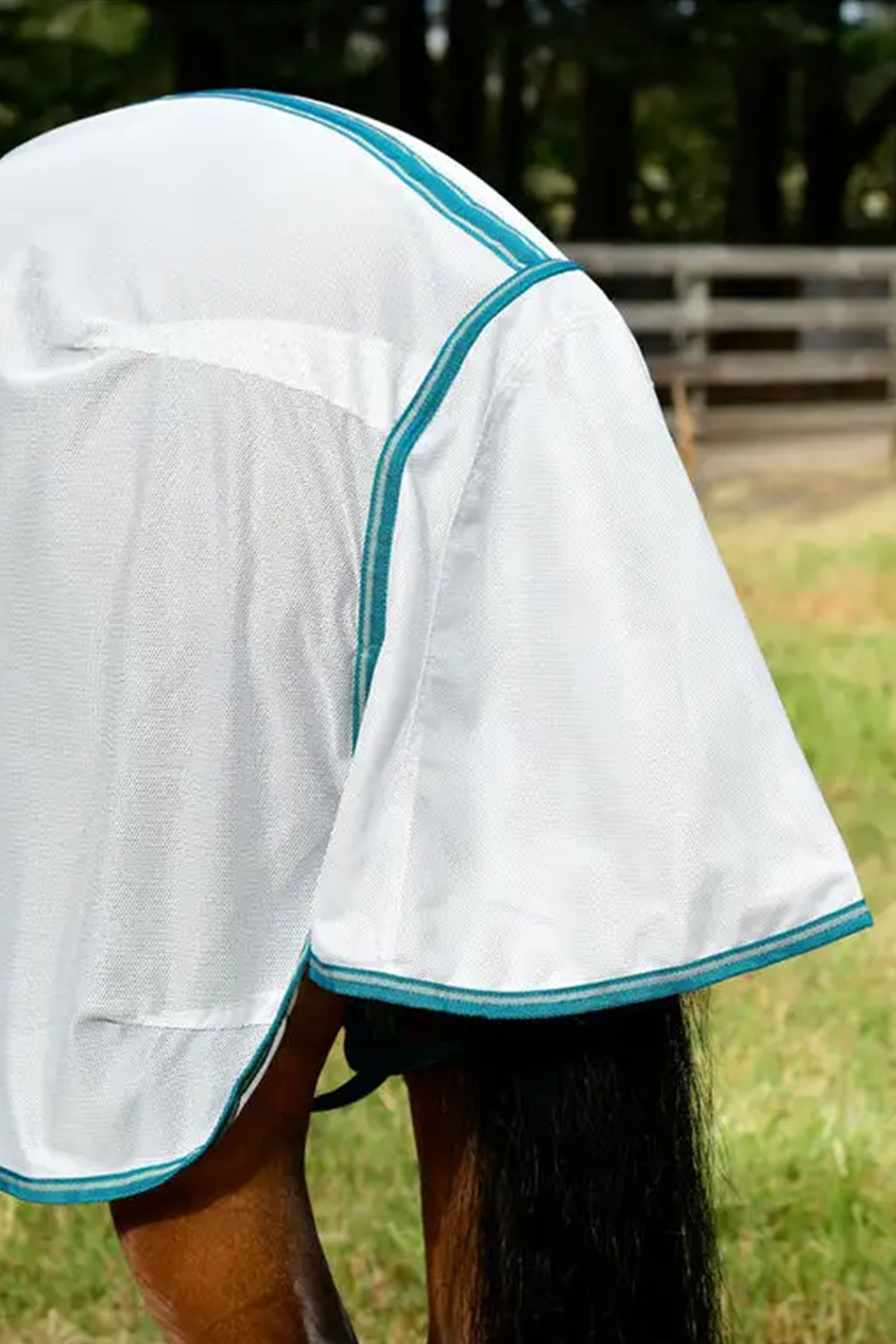 Weatherbeeta Comfitec Zephyr Plus Mesh Combo Neck