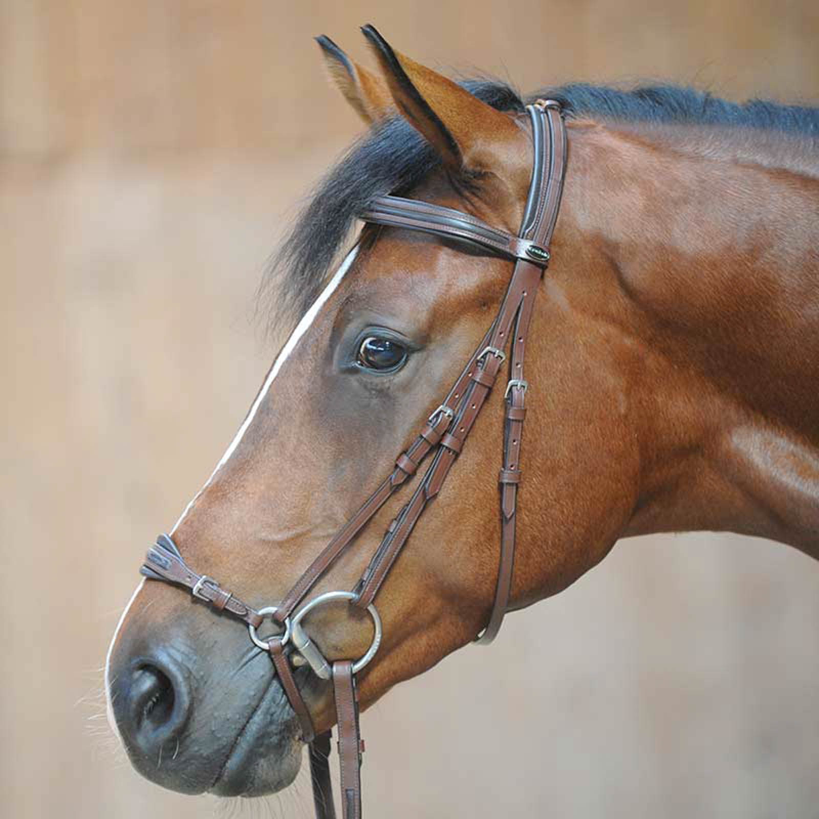 Brown Kavalkade Levana Bridle