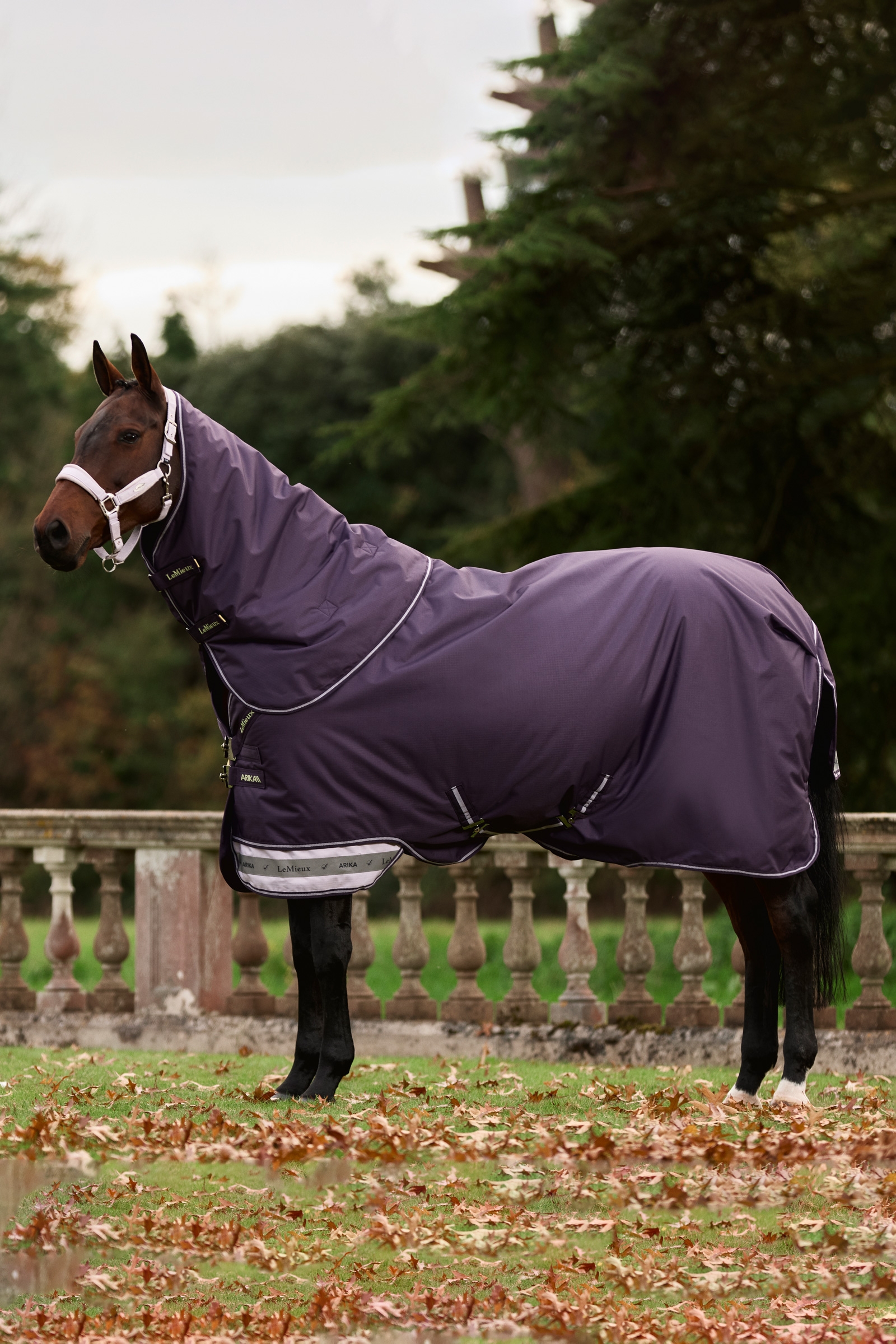 LeMieux Arika Ripstop Turnout Rug With Detachable Neck, 0 g