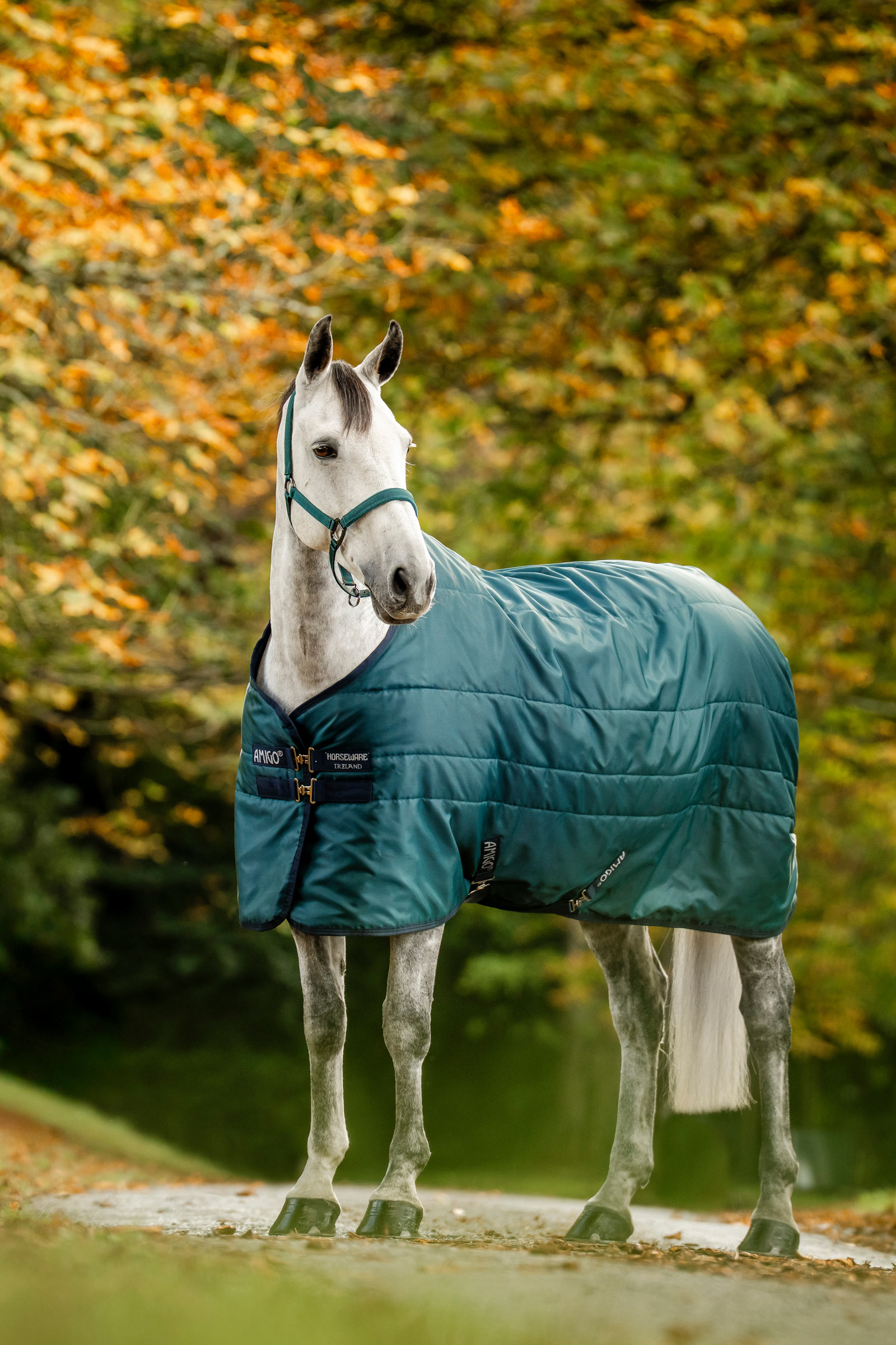 Dynasty Green/Navy/Silver Horseware Amigo Ripstop Insulator Stable Rug, 200g