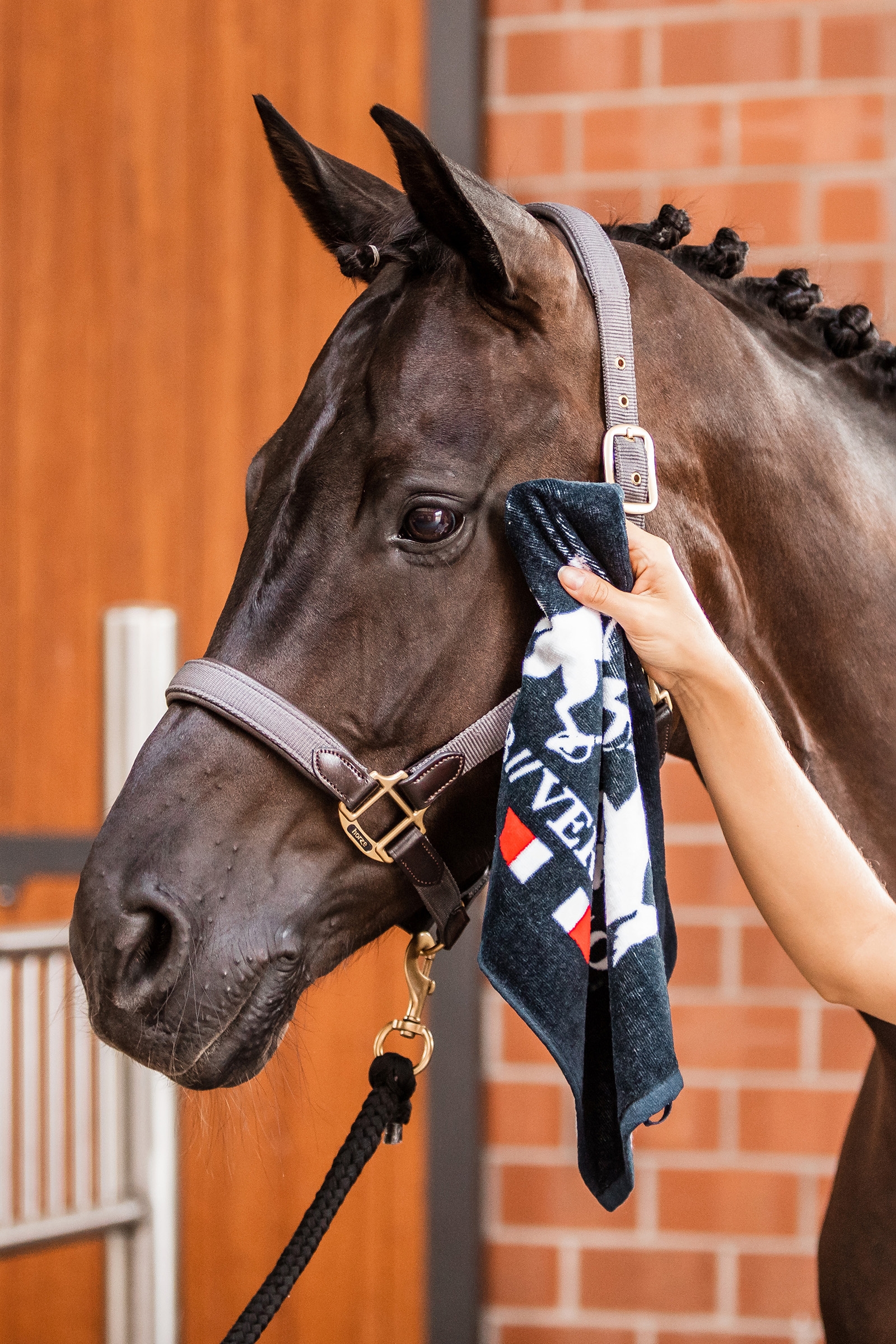 B Vertigo Hand Towel