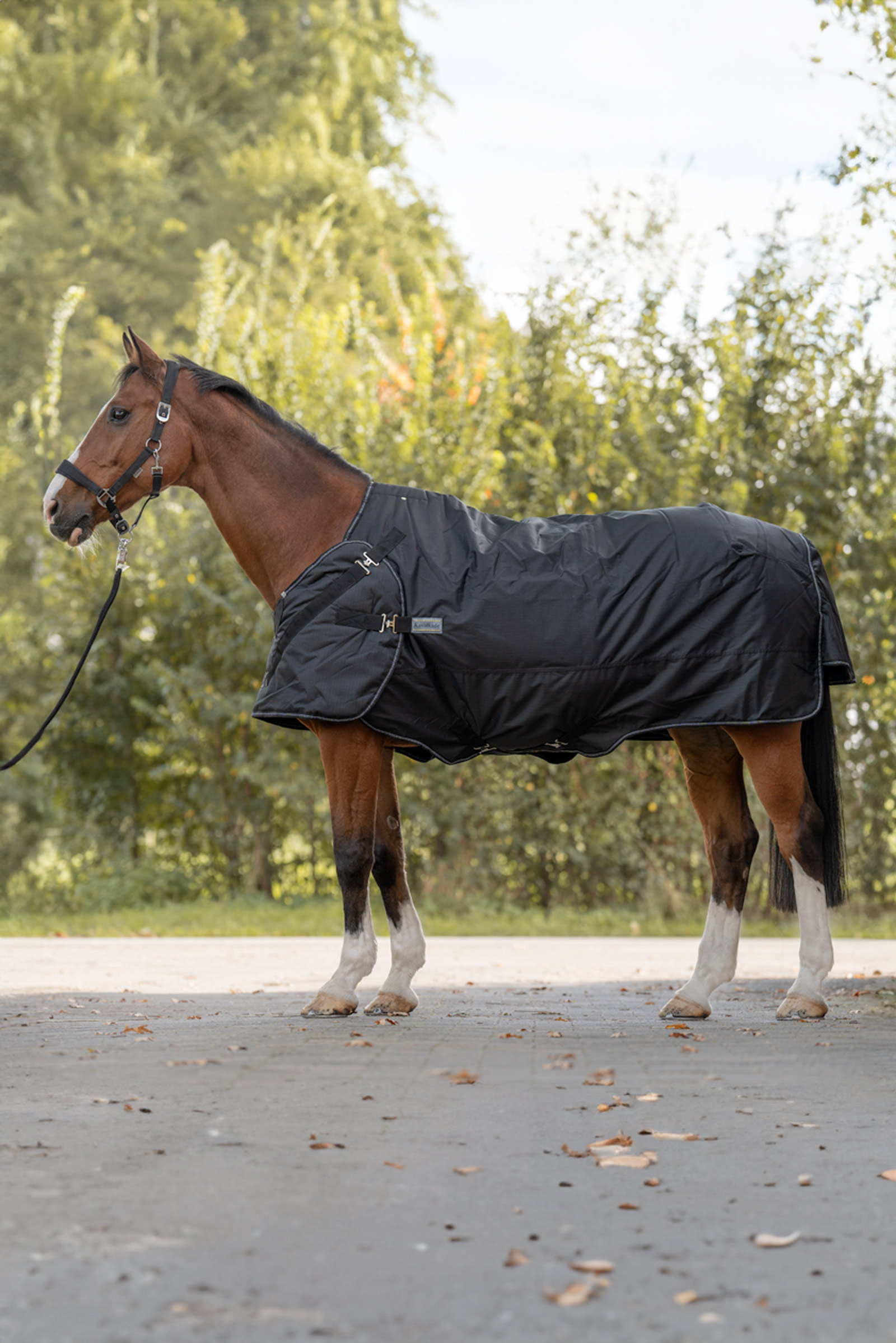 Kavalkade Halifax 2in1 Turnout and Walker Rug 200g
