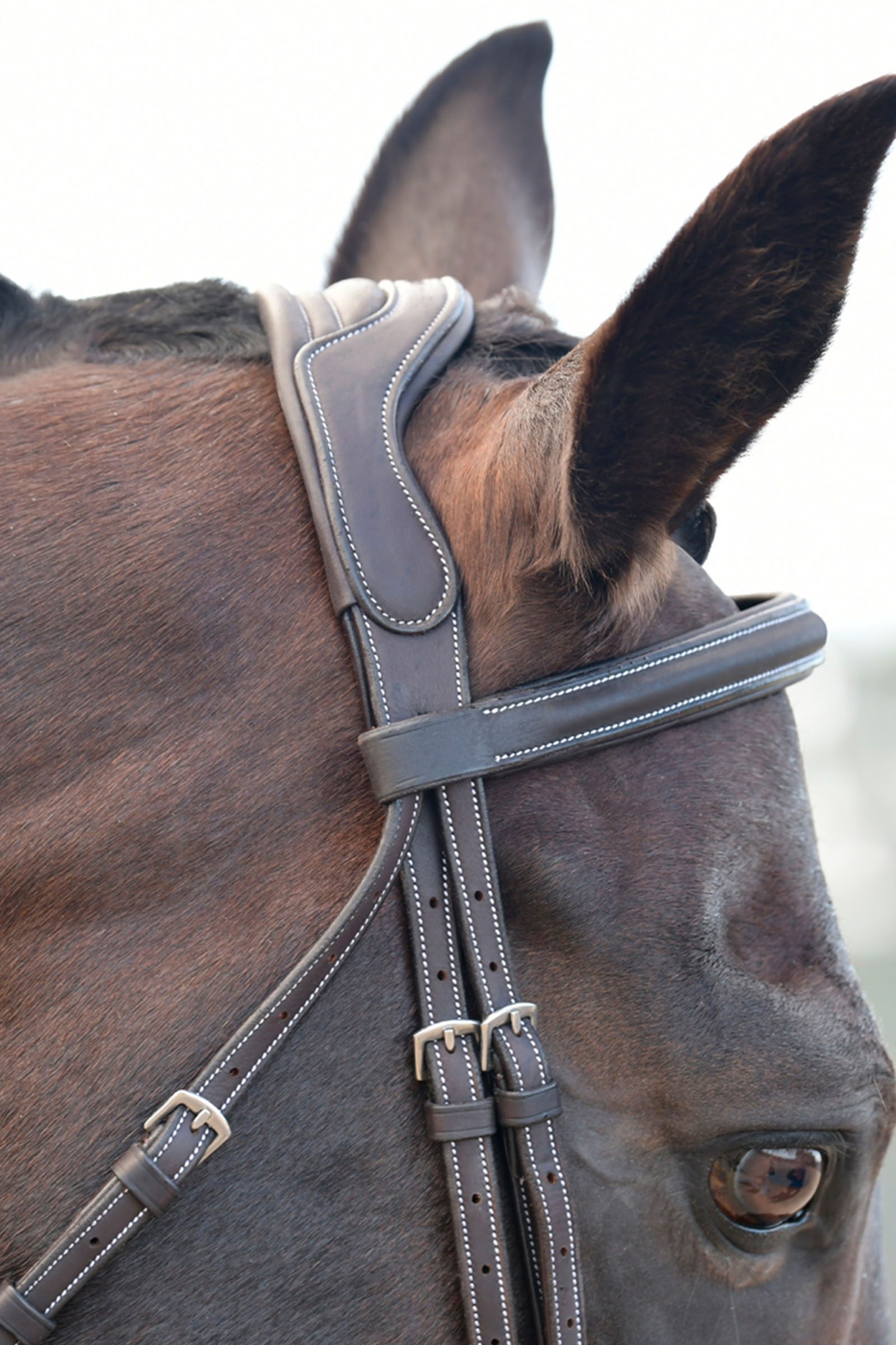 Collegiate Comfitec Opulux Fancy Stitch Padded Hanoverian Bridle