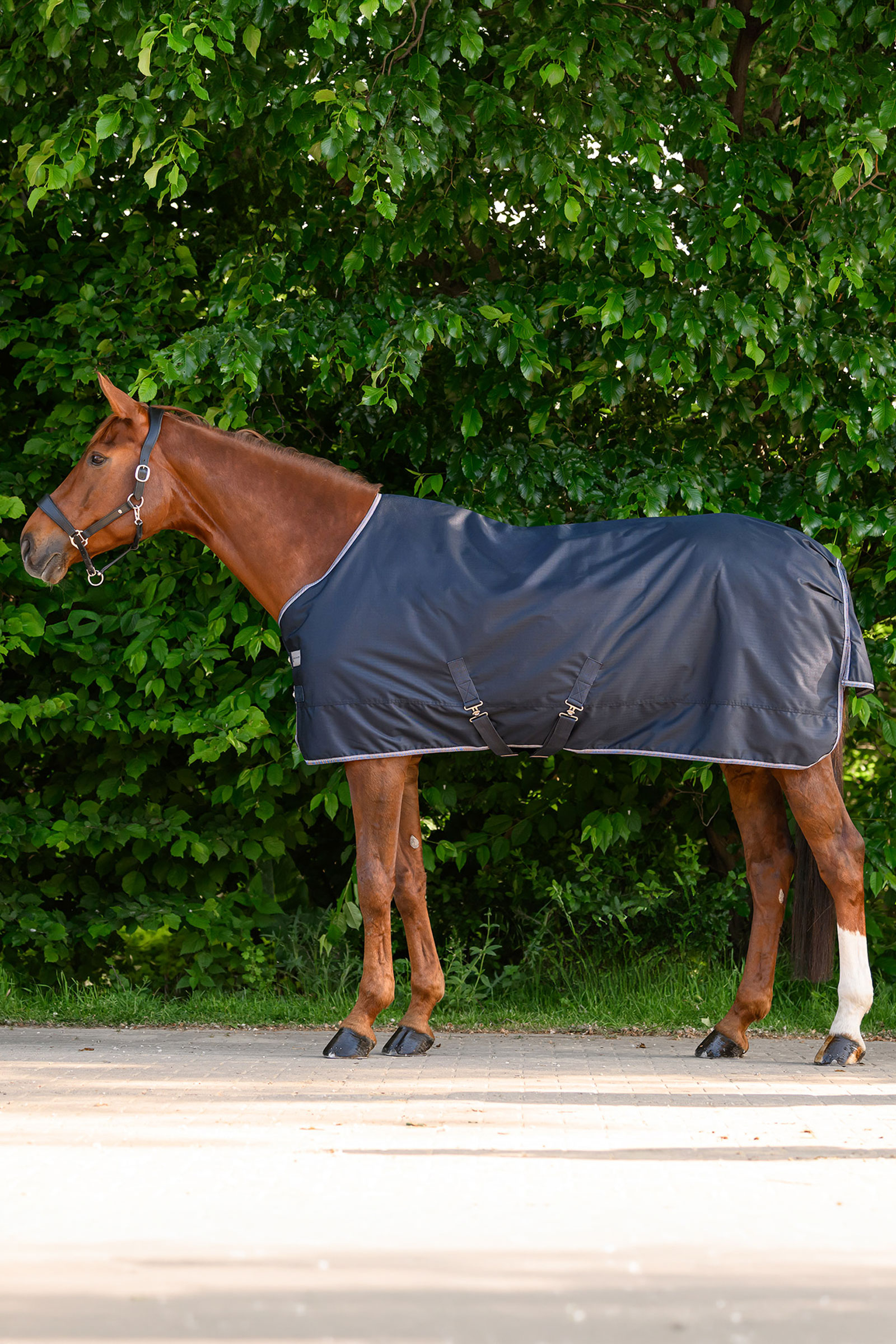 Waldhausen ECONOMIC Outdoor Rug, 100g