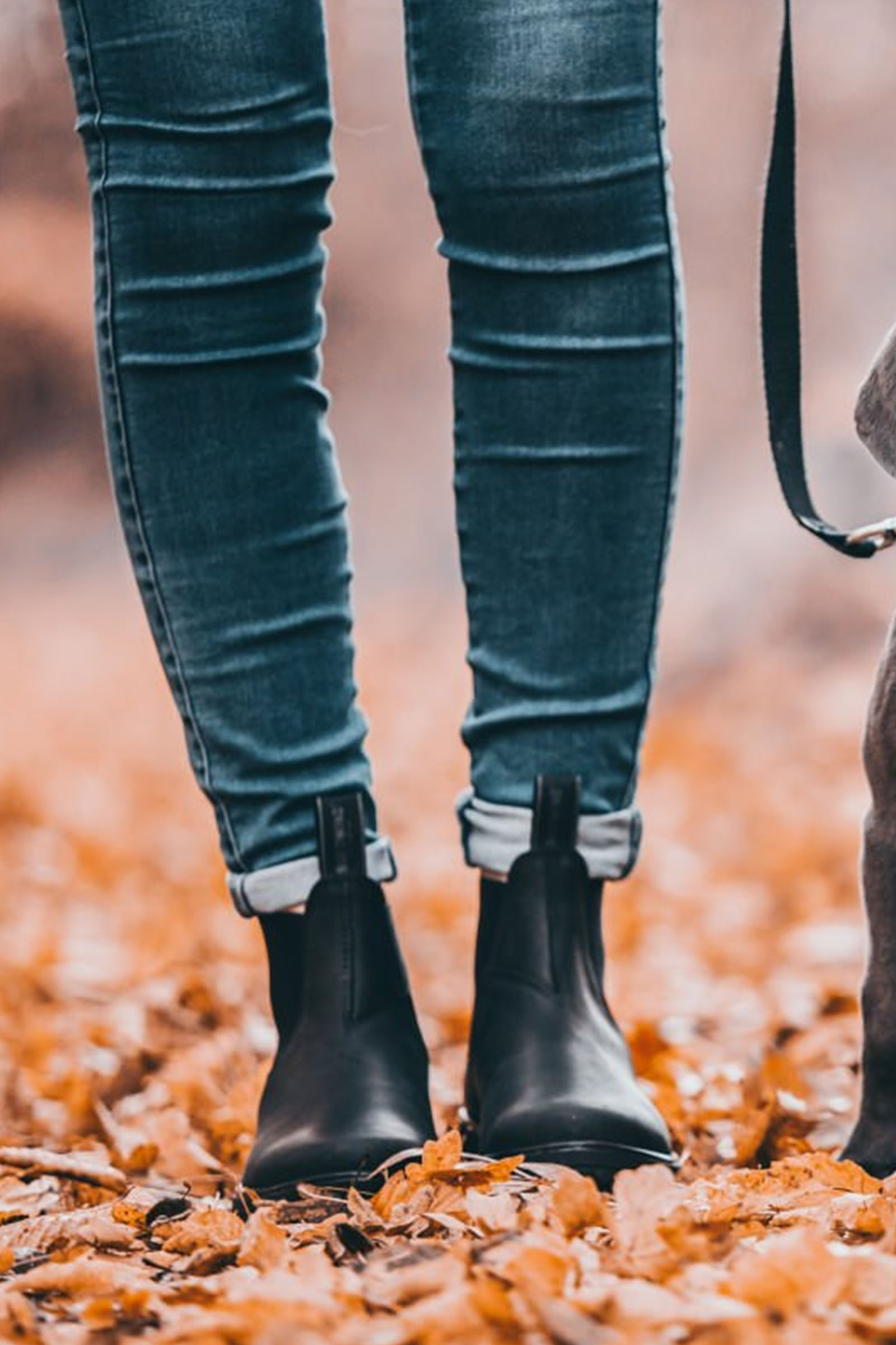 Suedwind Footwear 1888 Chelsea Jodhpur Boots