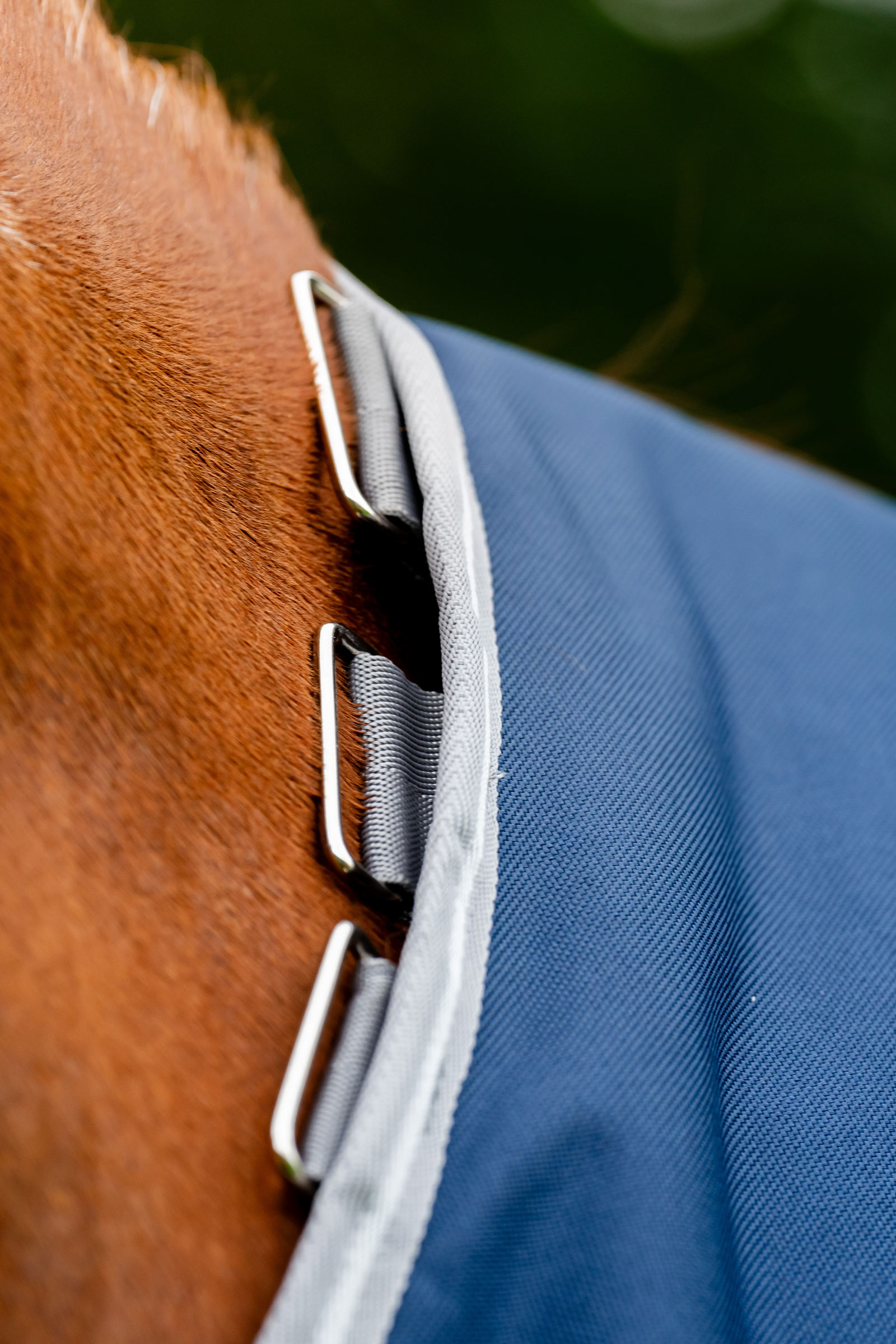 Horseware Amigo Bravo 12 Plus 100g