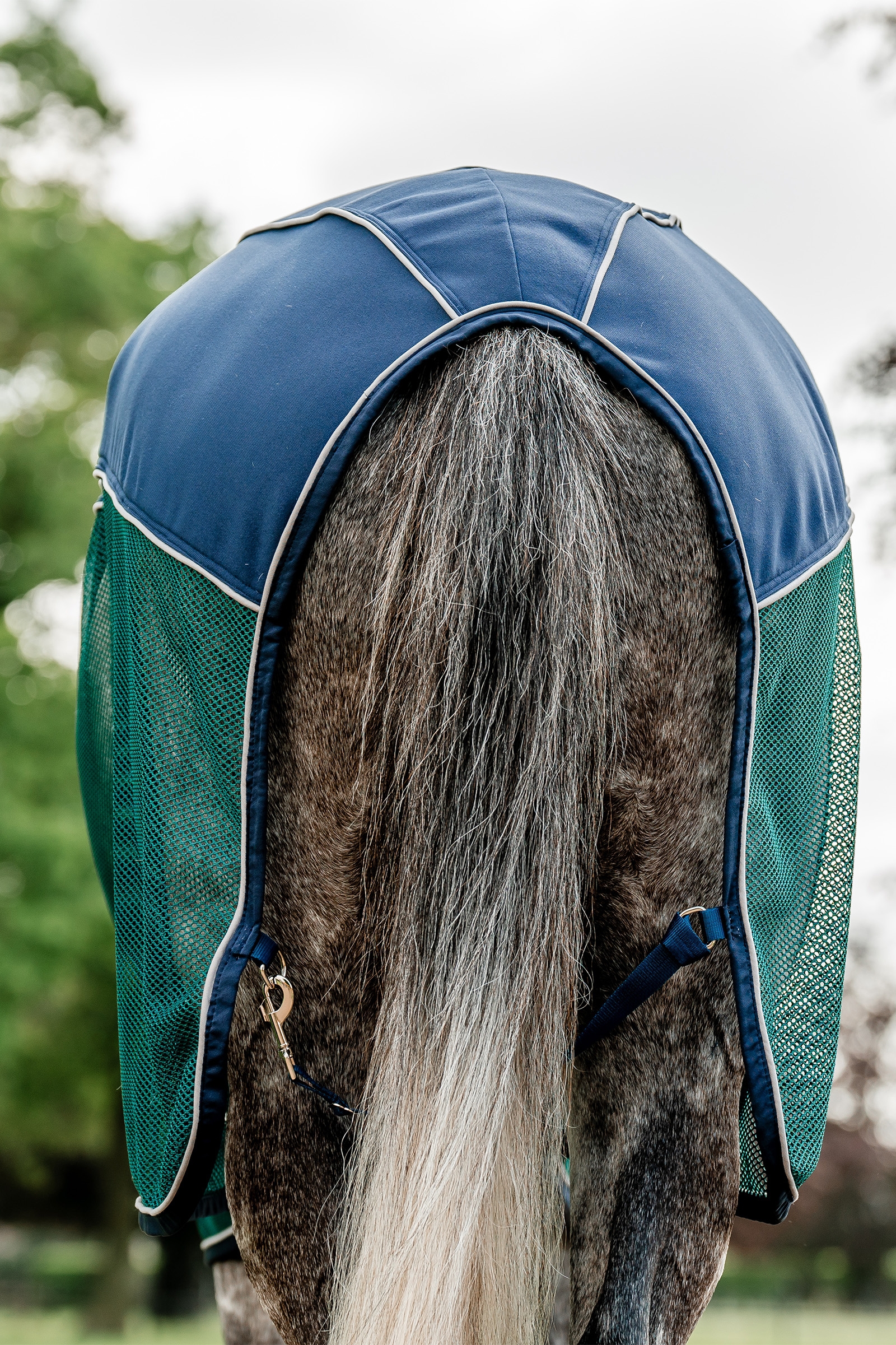 Horseware Signature Sport Cooler