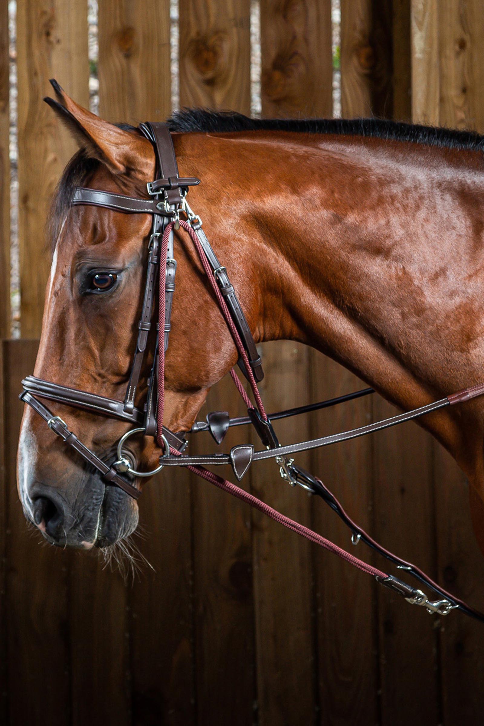 Dy'on Working Gogue Nylon Ropes