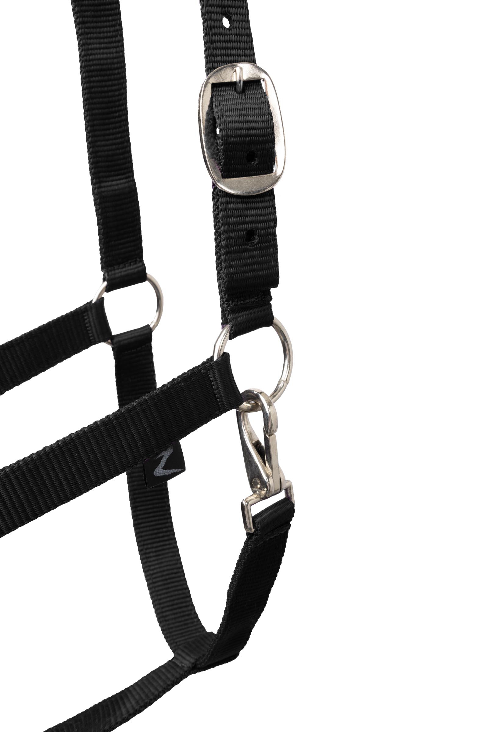 Horze Basic Halter & Panic Hook Lead