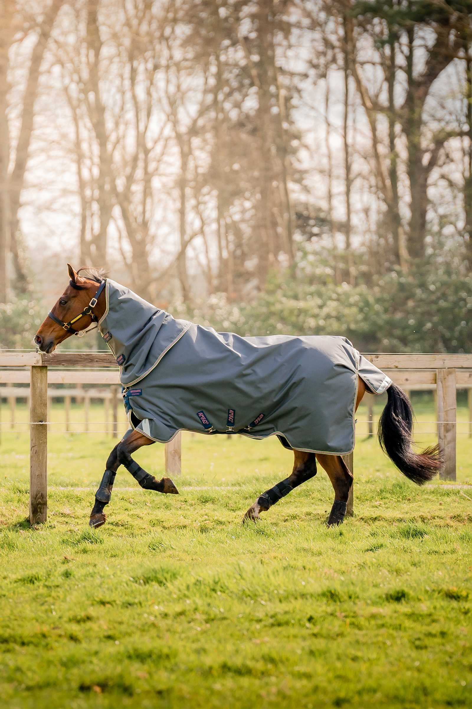Horseware Amigo Bravo 12 Plus Turnout Rug With Detachable Neck, 0g