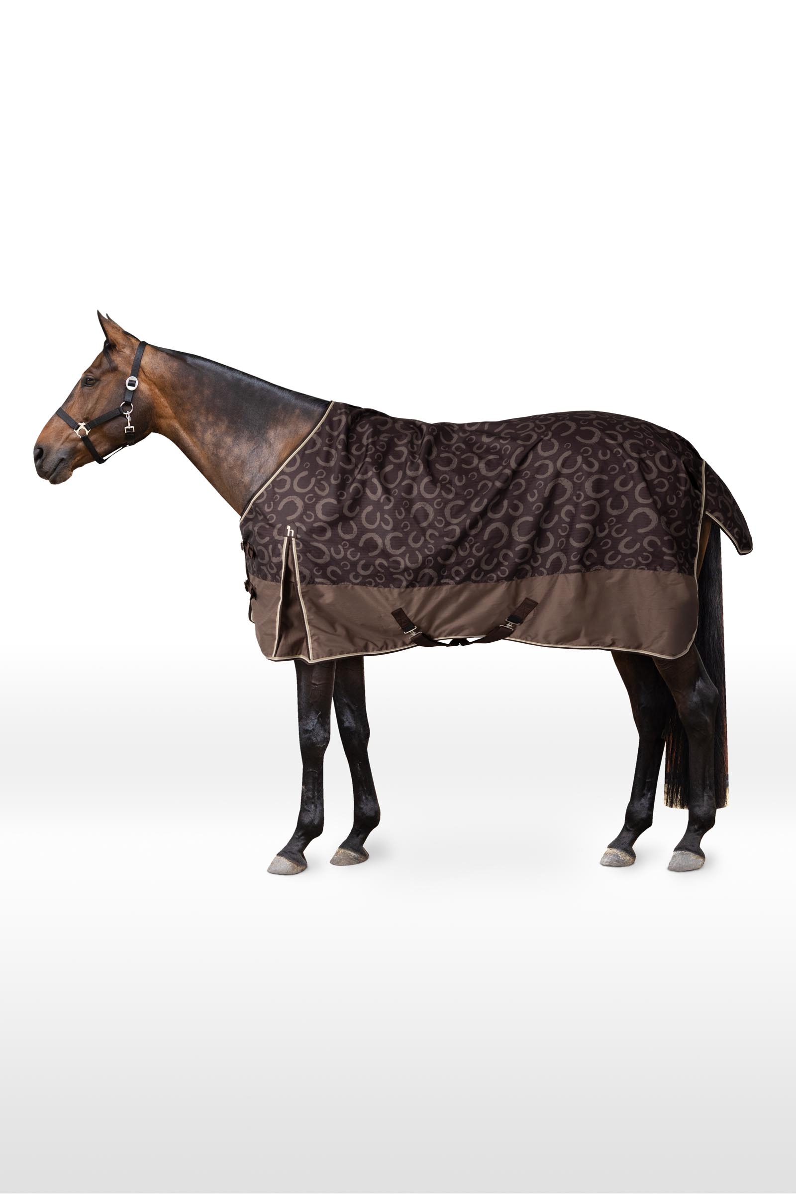 Choclate Plum Horze Glasgow Rain Turnout Rug, 0g