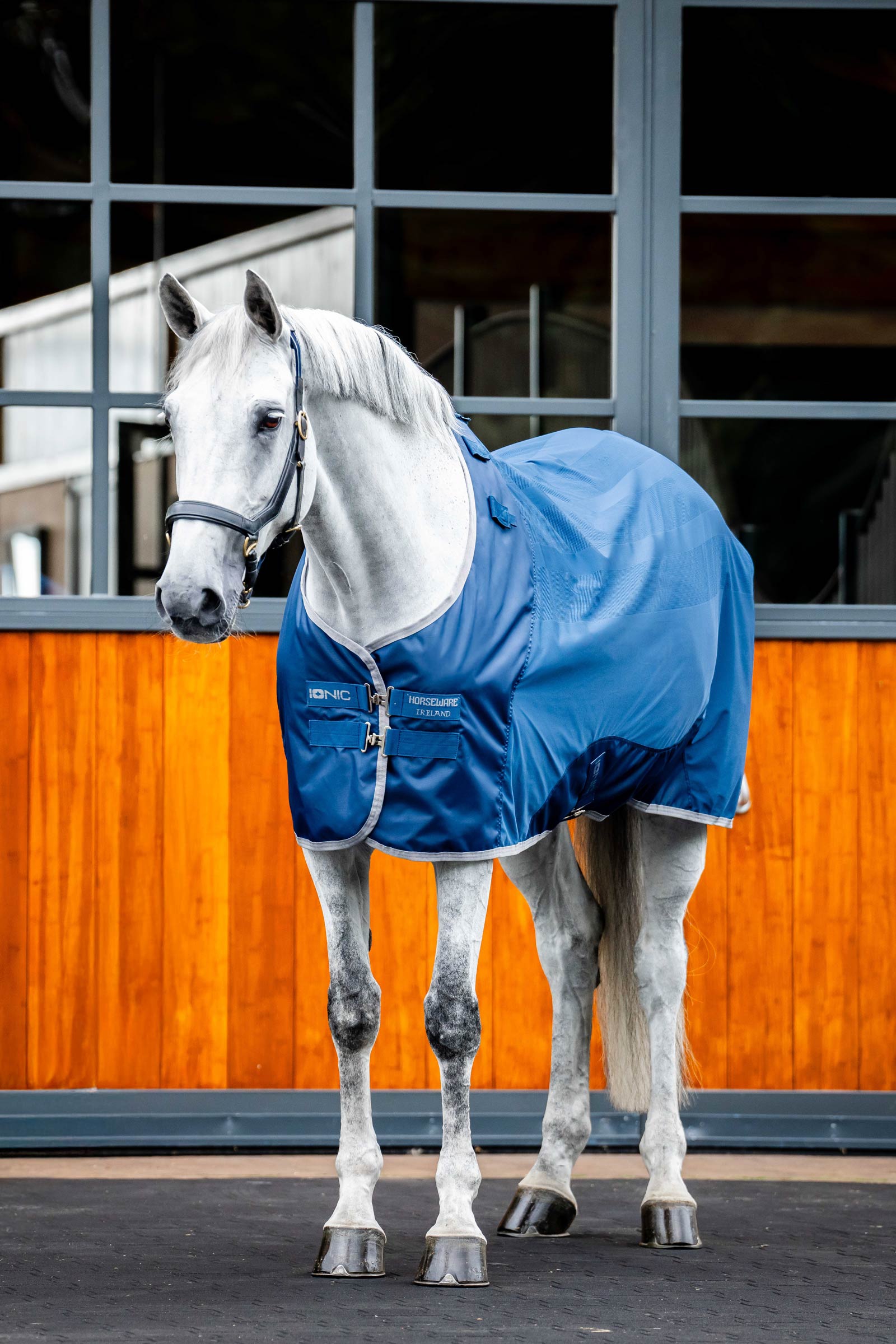Horseware Ionic Therapy Mesh Cooler Rug