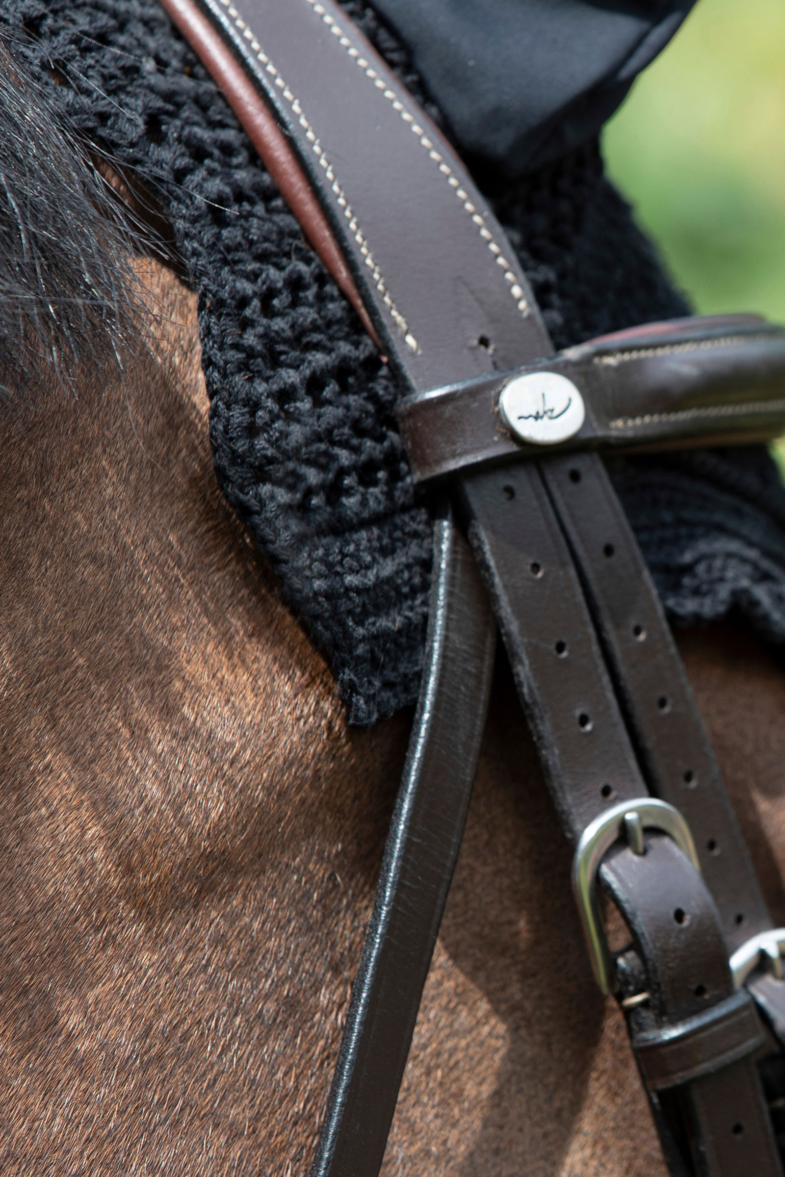 LeMieux Diamante Acoustic Fly Hood