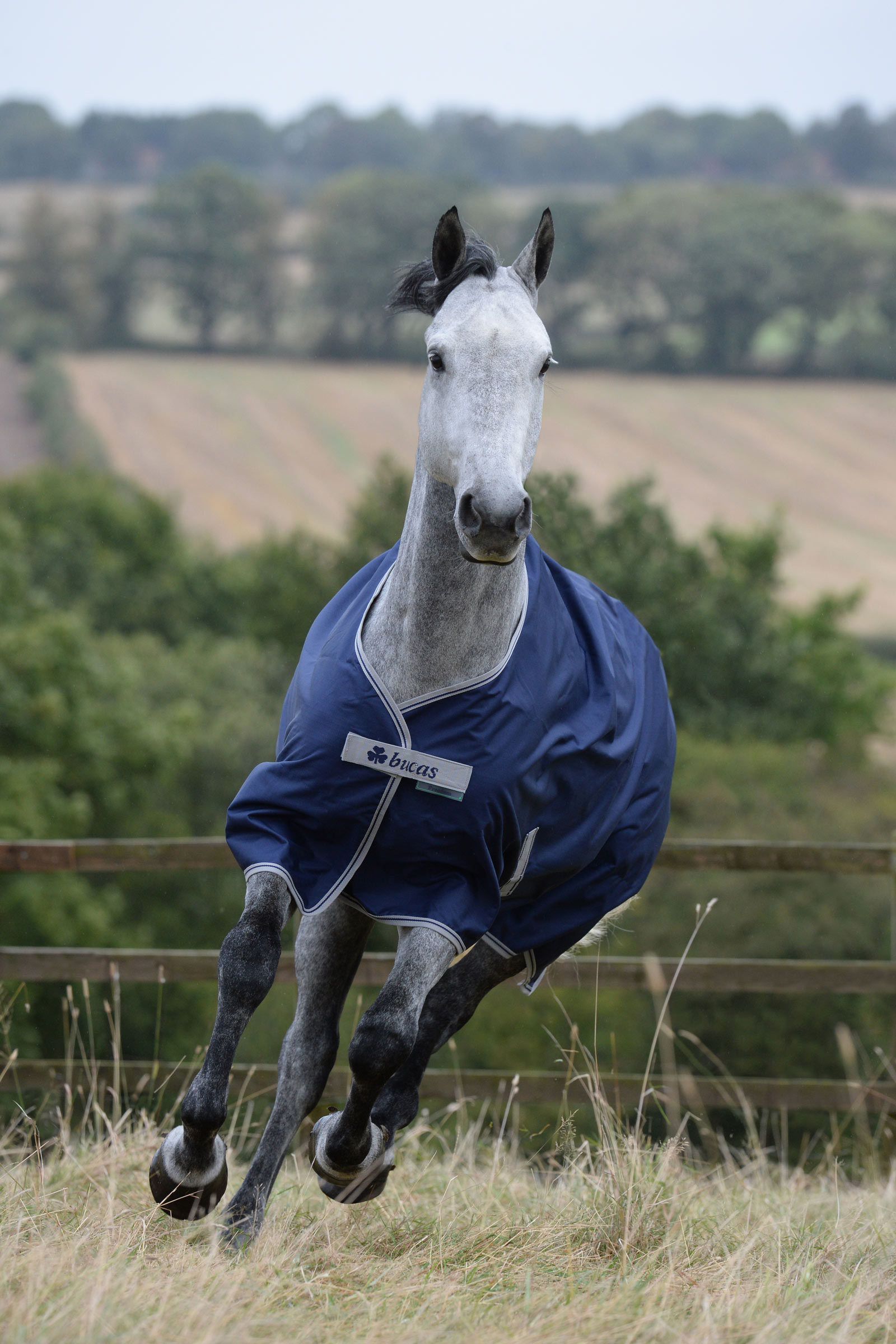 Bucas Freedom Turnout Rug, 150g