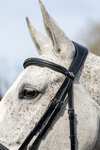 LeMieux Competiton Flash Bridle