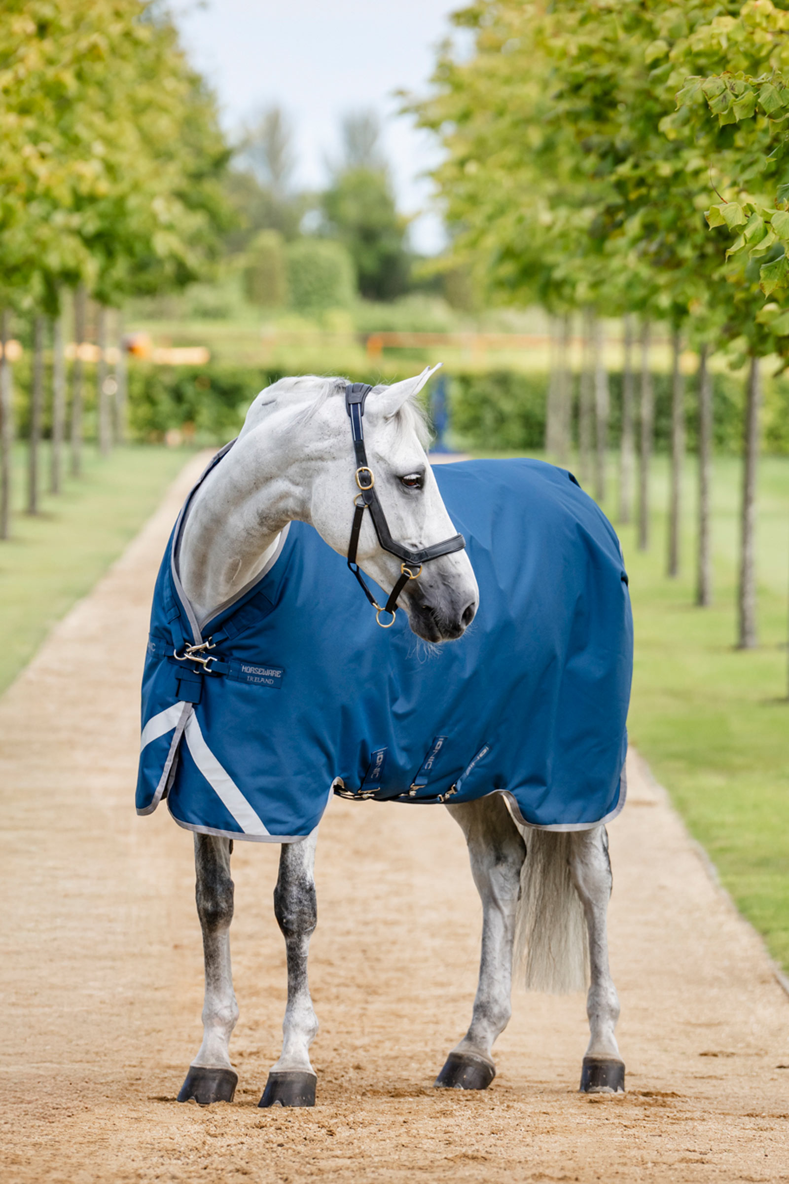 Horseware Ionic Therapy Turnout Rug, 100g