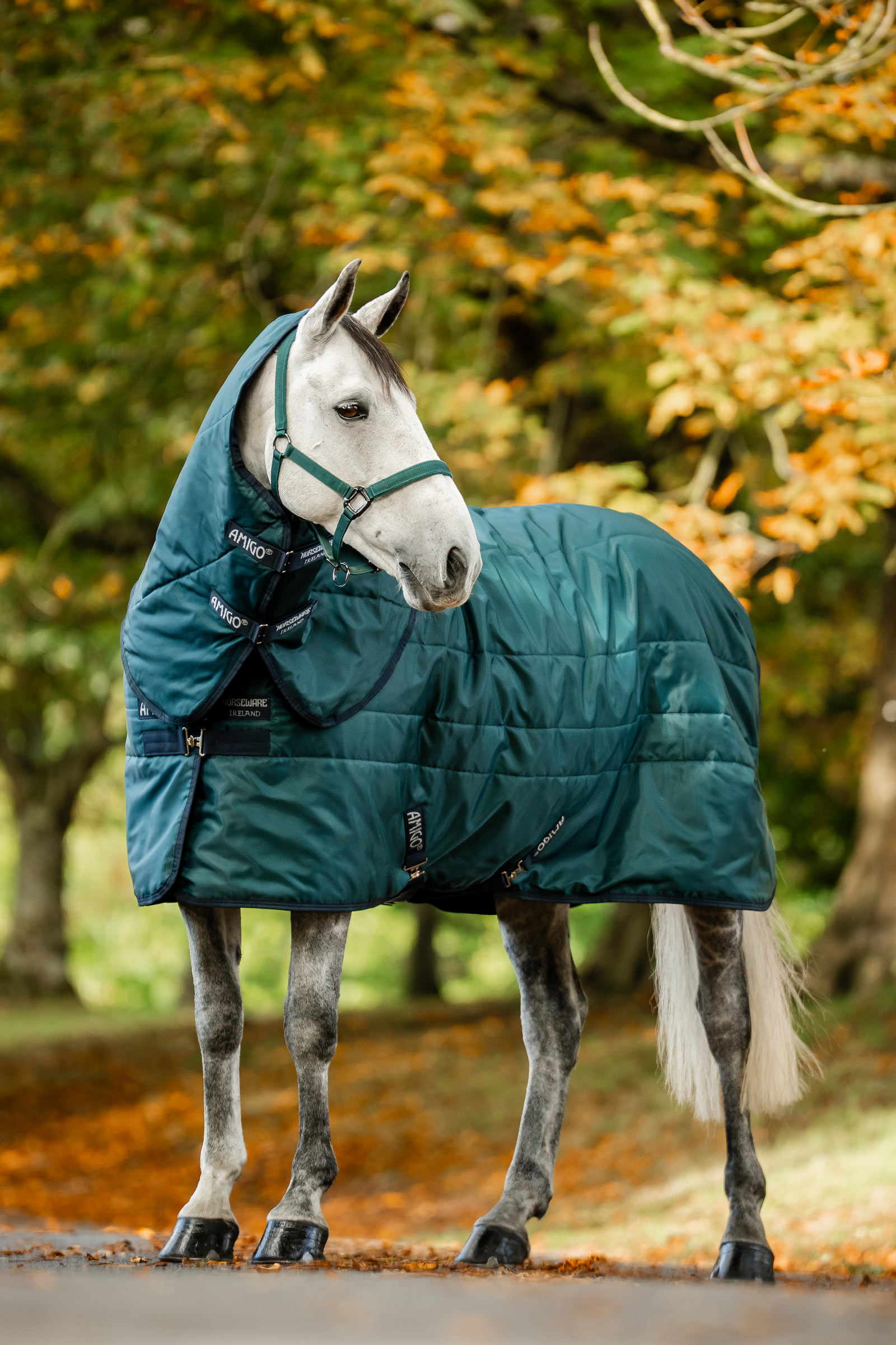 Horseware Amigo Ripstop Insulator Stable Rug, 350 g