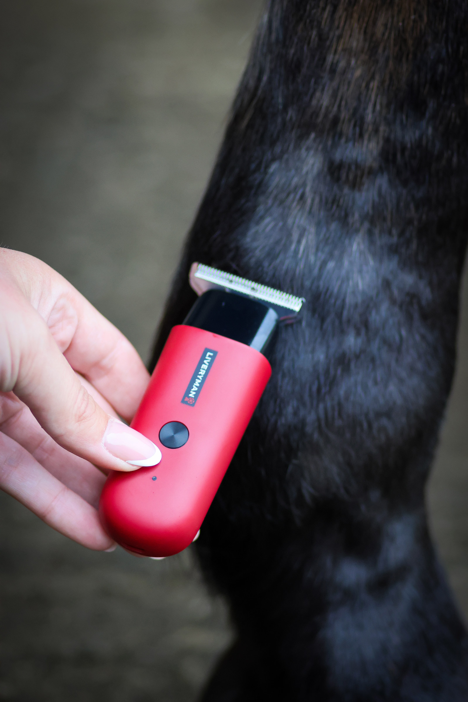 Liveryman Robin Equine Trimmer
