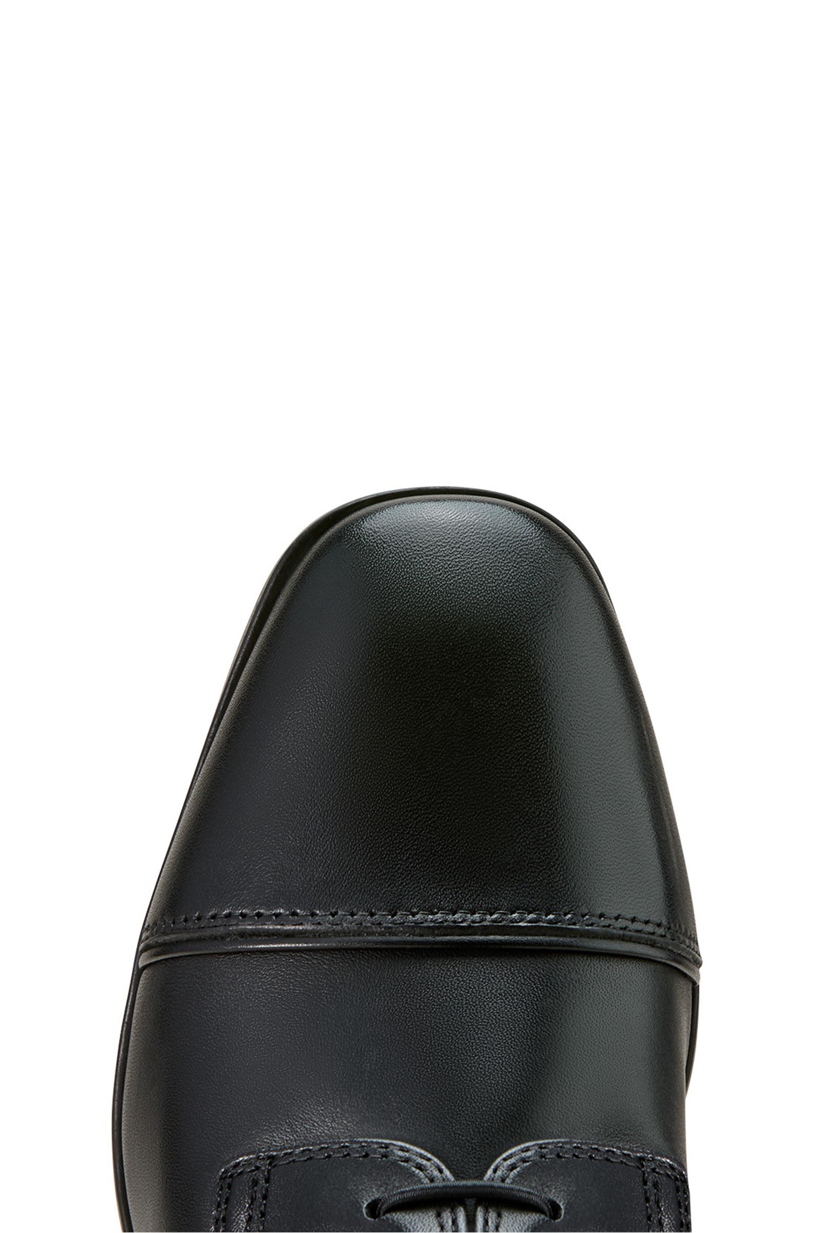 Ariat Palisade Lace Women's Tall Riding Boot