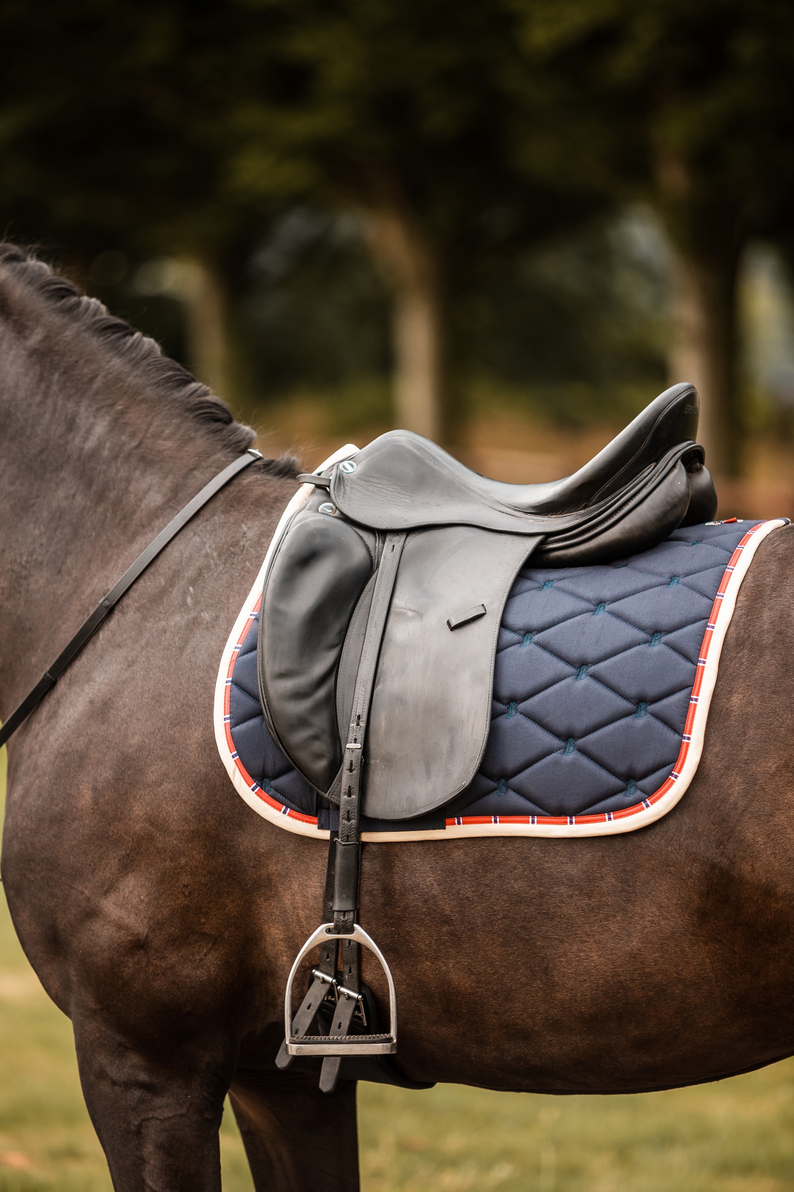 B Vertigo Amory Dressage Saddle Pad with Monogram Embroidery