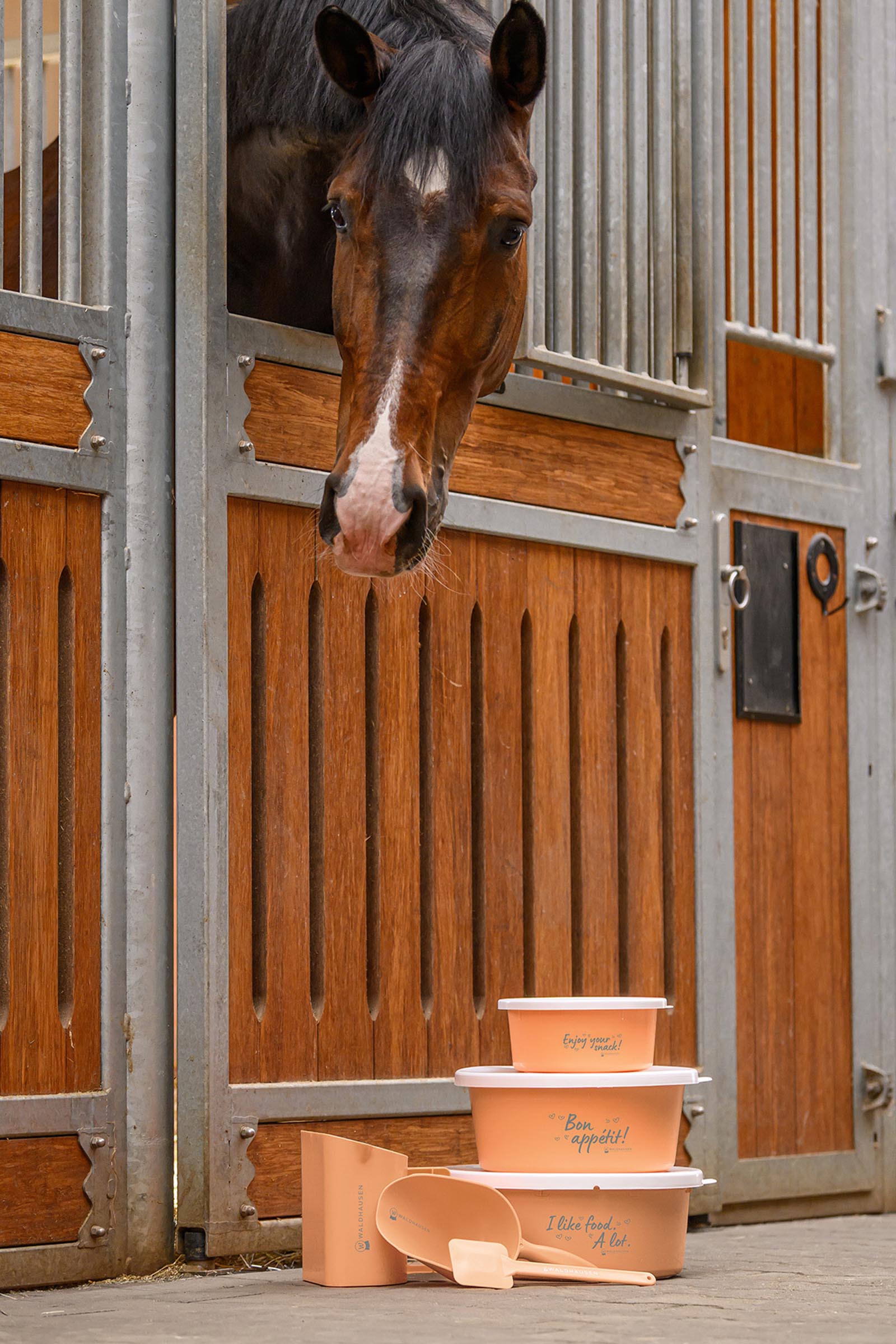 Waldhausen Feed Scoop (2L)