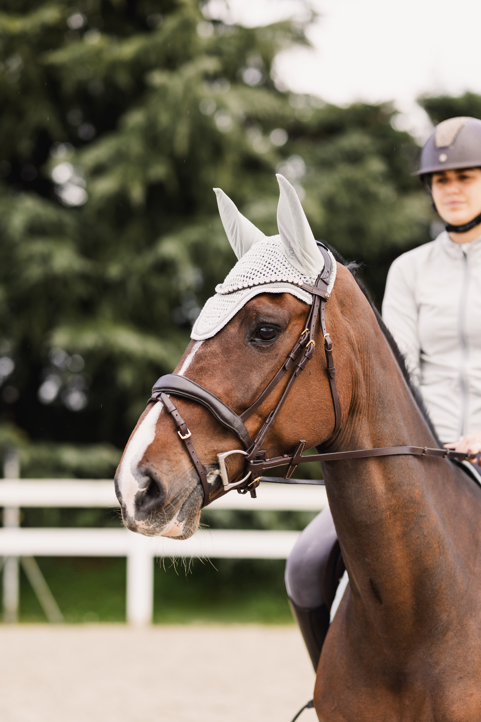 Horze Rose Tonique Fly Hood