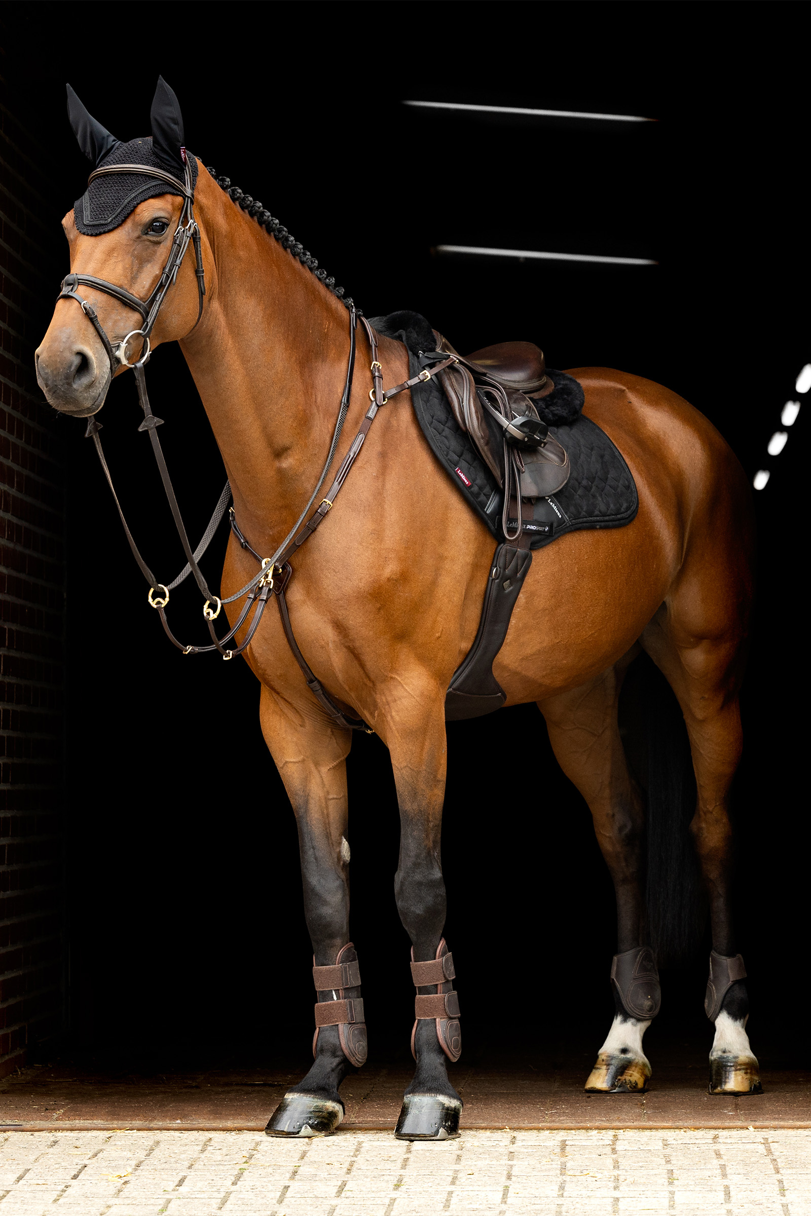 LeMieux Crystal Fly Hood