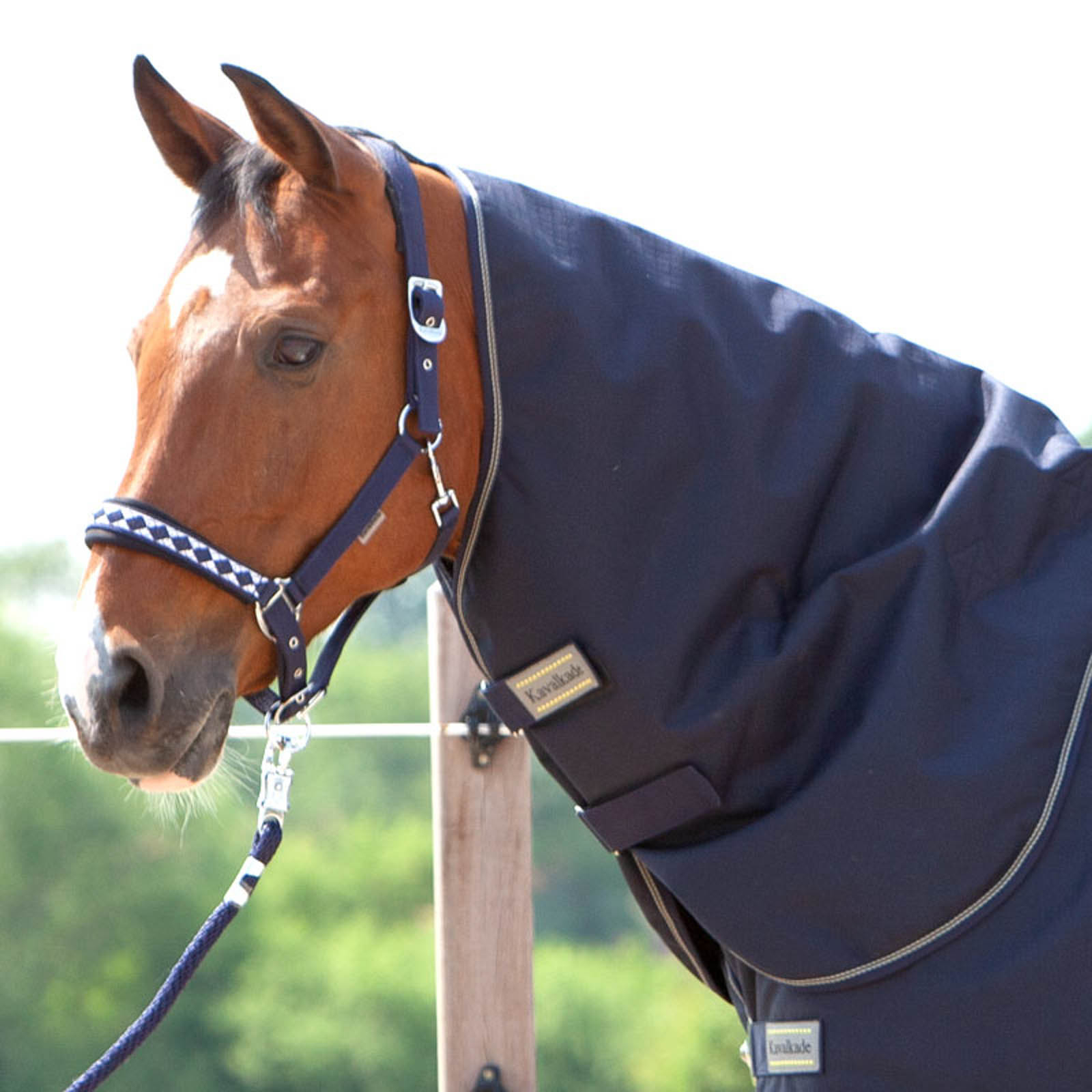 Kavalkade Neck for Montreal Turnout Rug, 100g