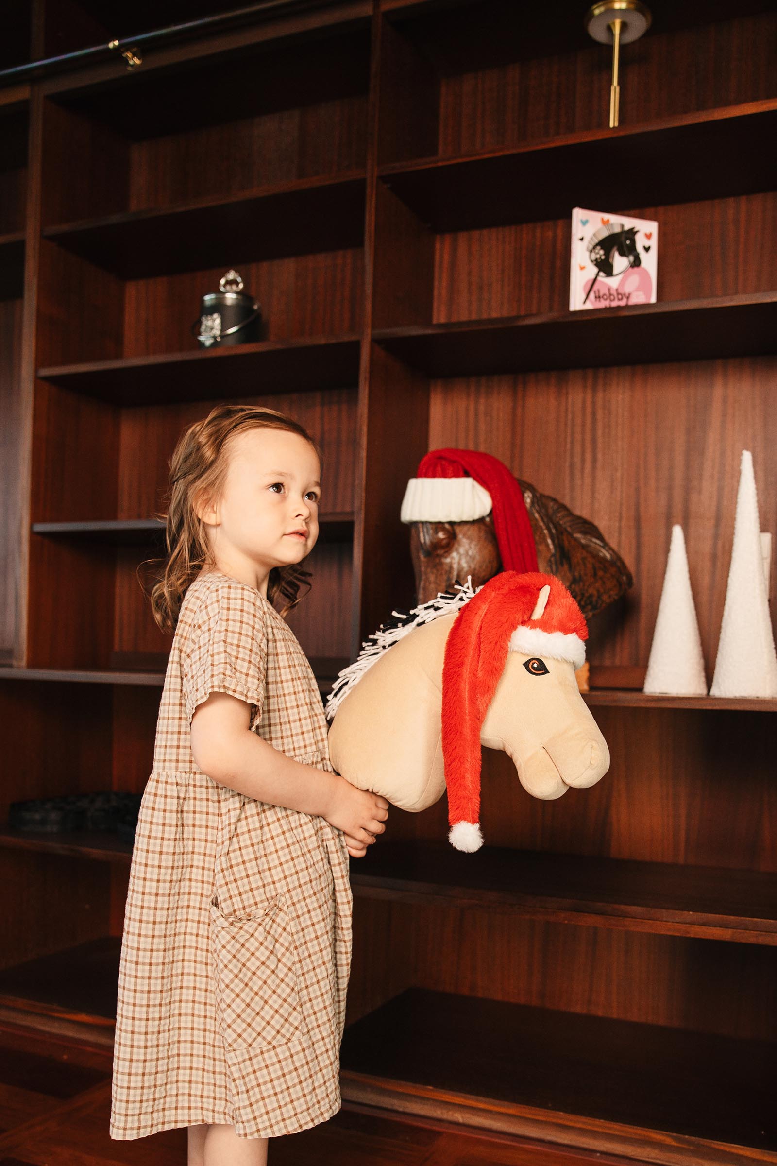 My Hobby Horse Santa Hat