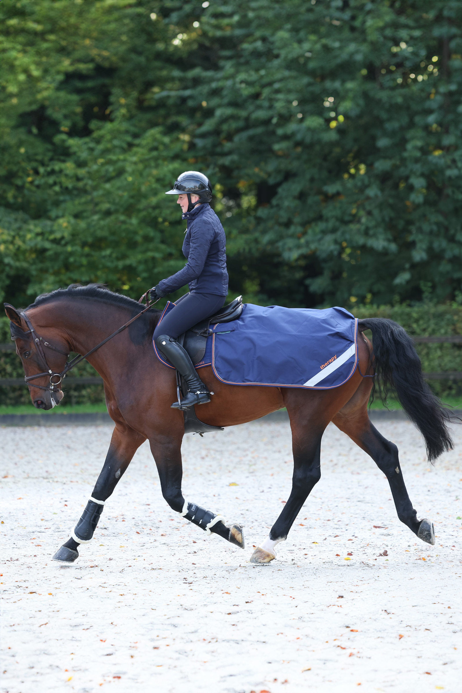 Bucas Therapy Quarter Sheet