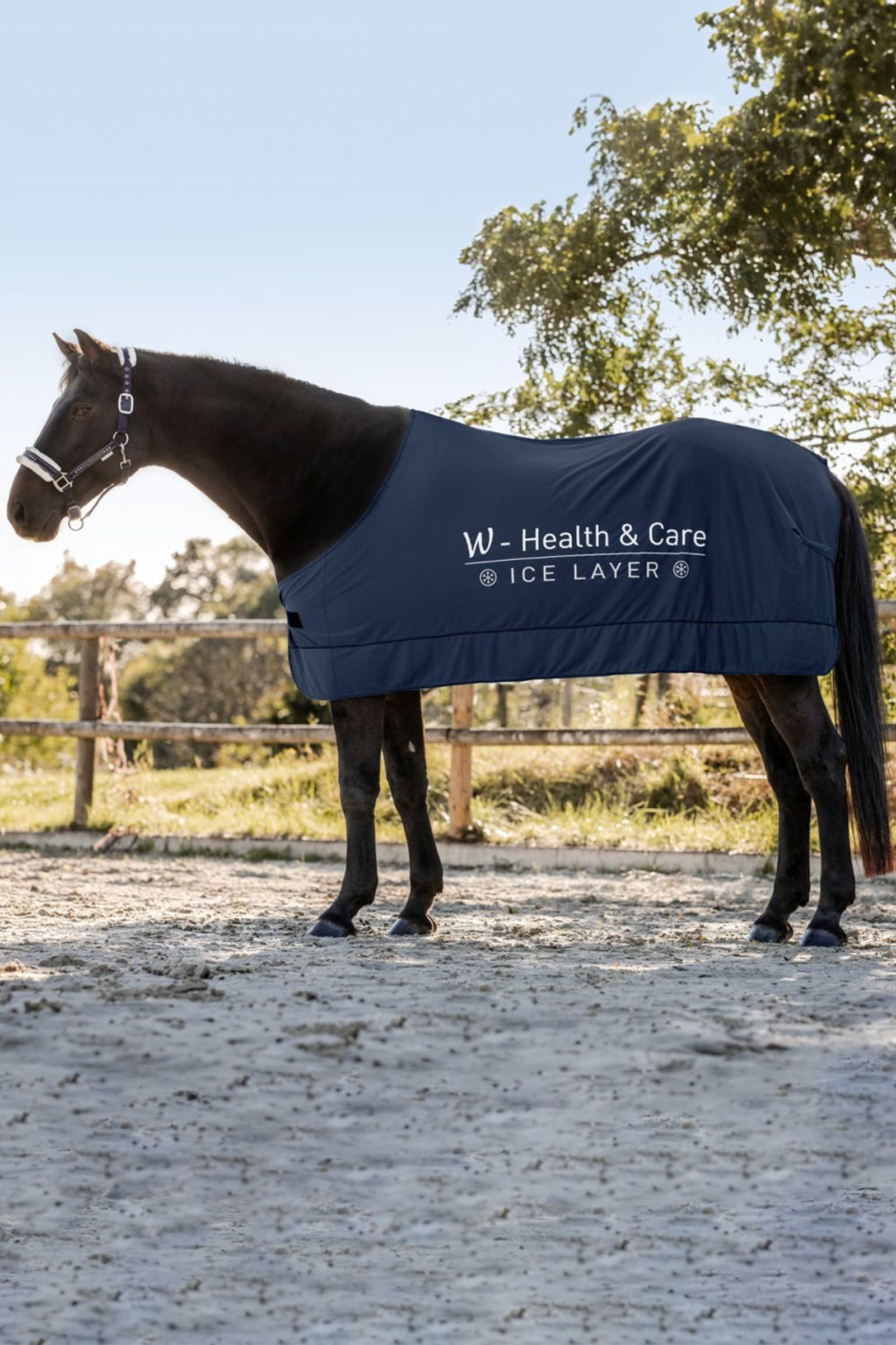 Waldhausen Health & Care Ice Layer Rug