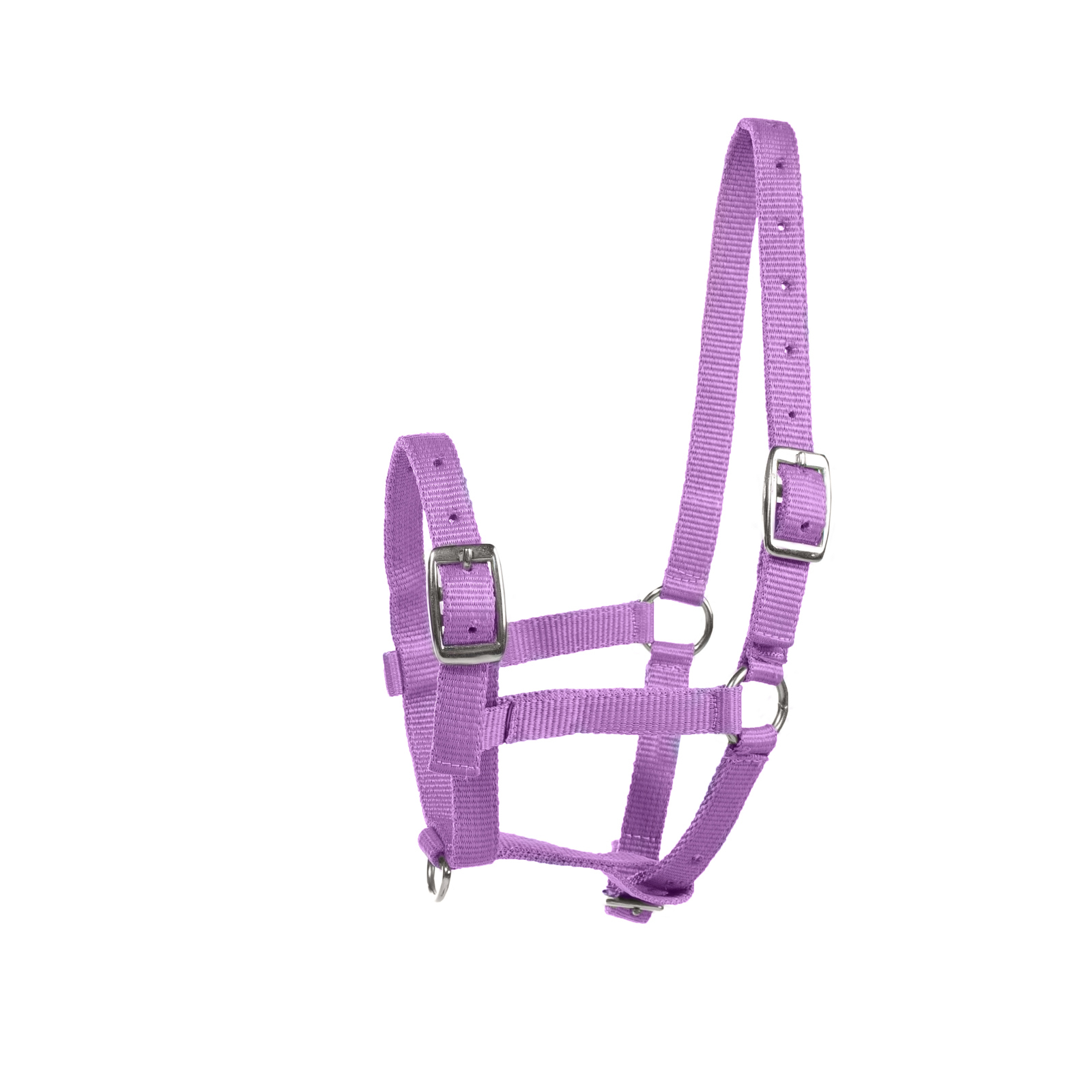 Purple Horze Foal Halter