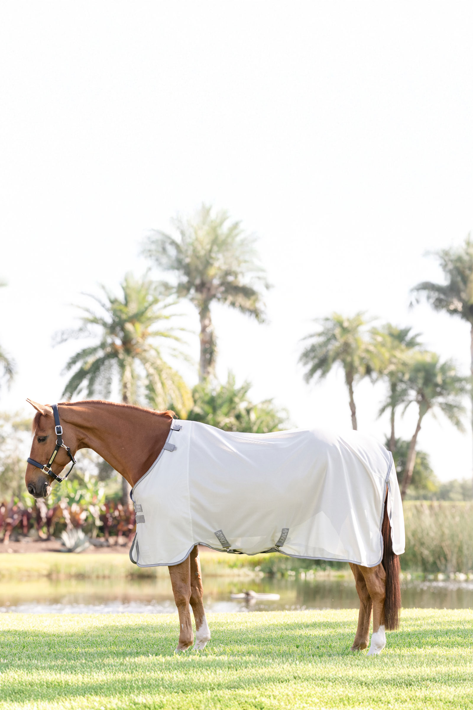 Horseware Amigo Bug Rug With UV-Protection