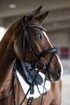 Kieffer Snaffle Bridle Essentials Xia