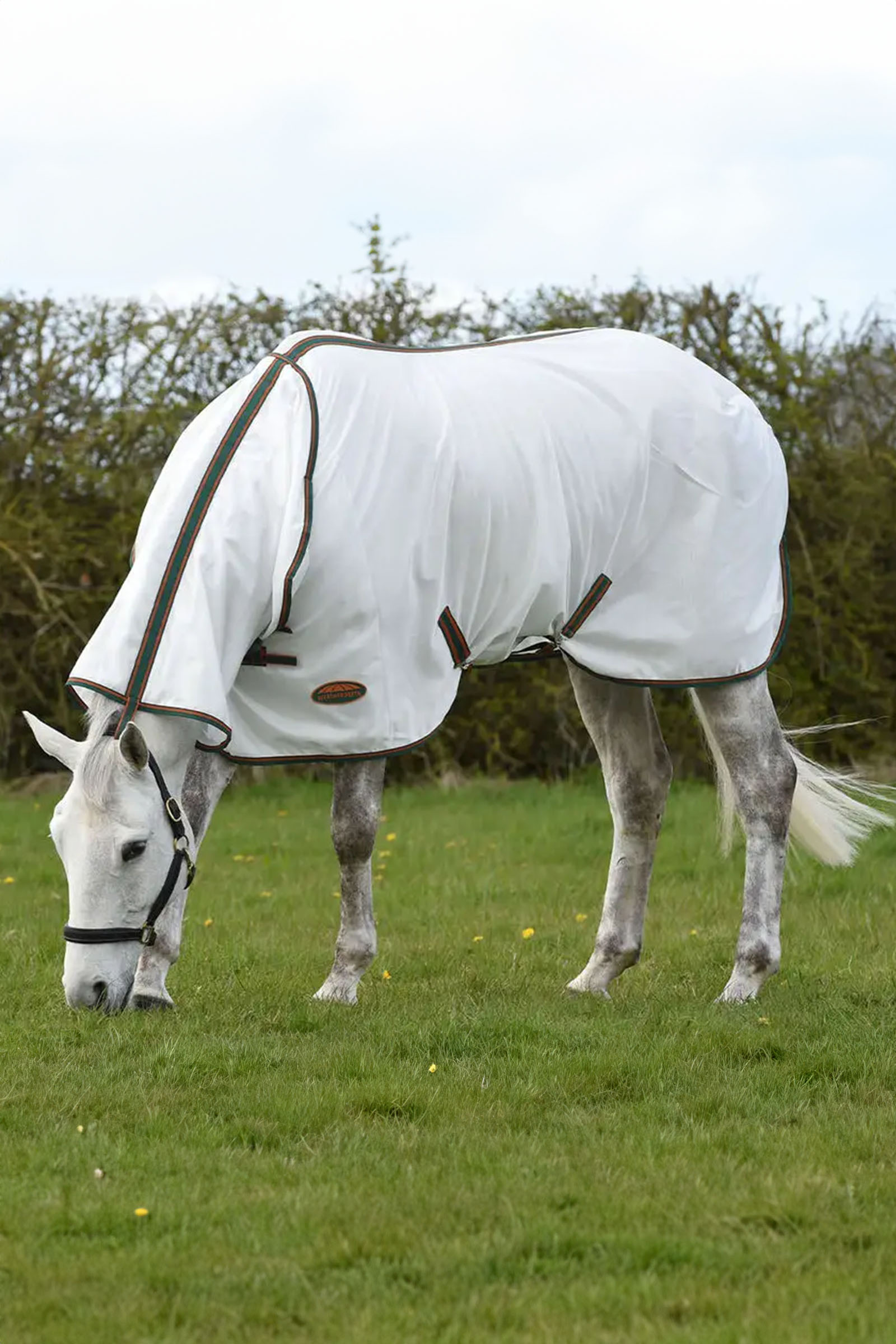 Weatherbeeta Comfitec Tyro Mesh Combo Neck