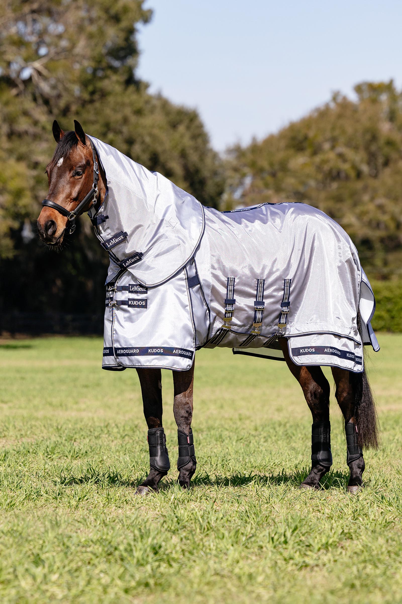 LeMieux Kudos AeroGuard Fly Rug w. Detachable Neck