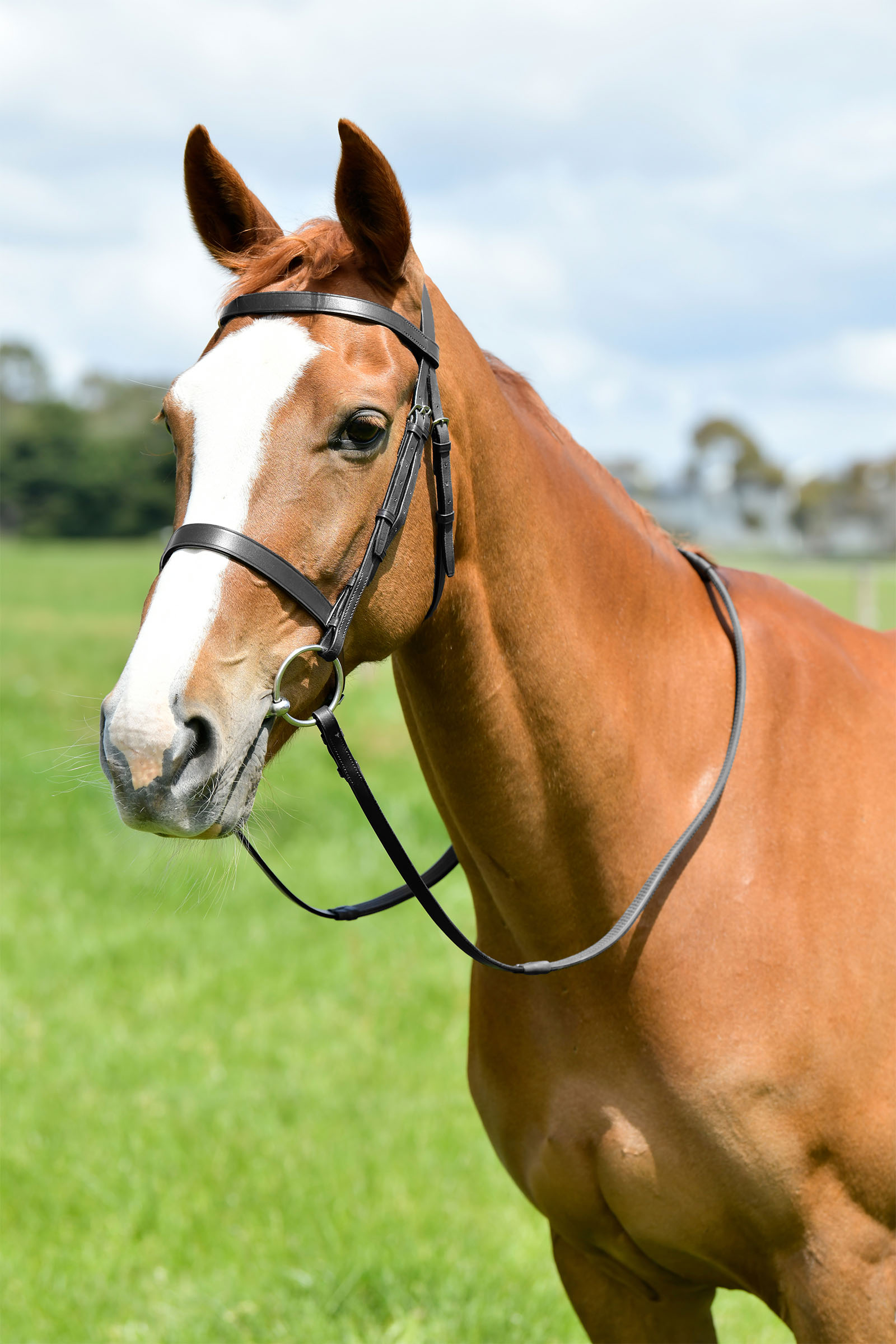 Black Kincade Classic Flat Hunt Bridle With Reins